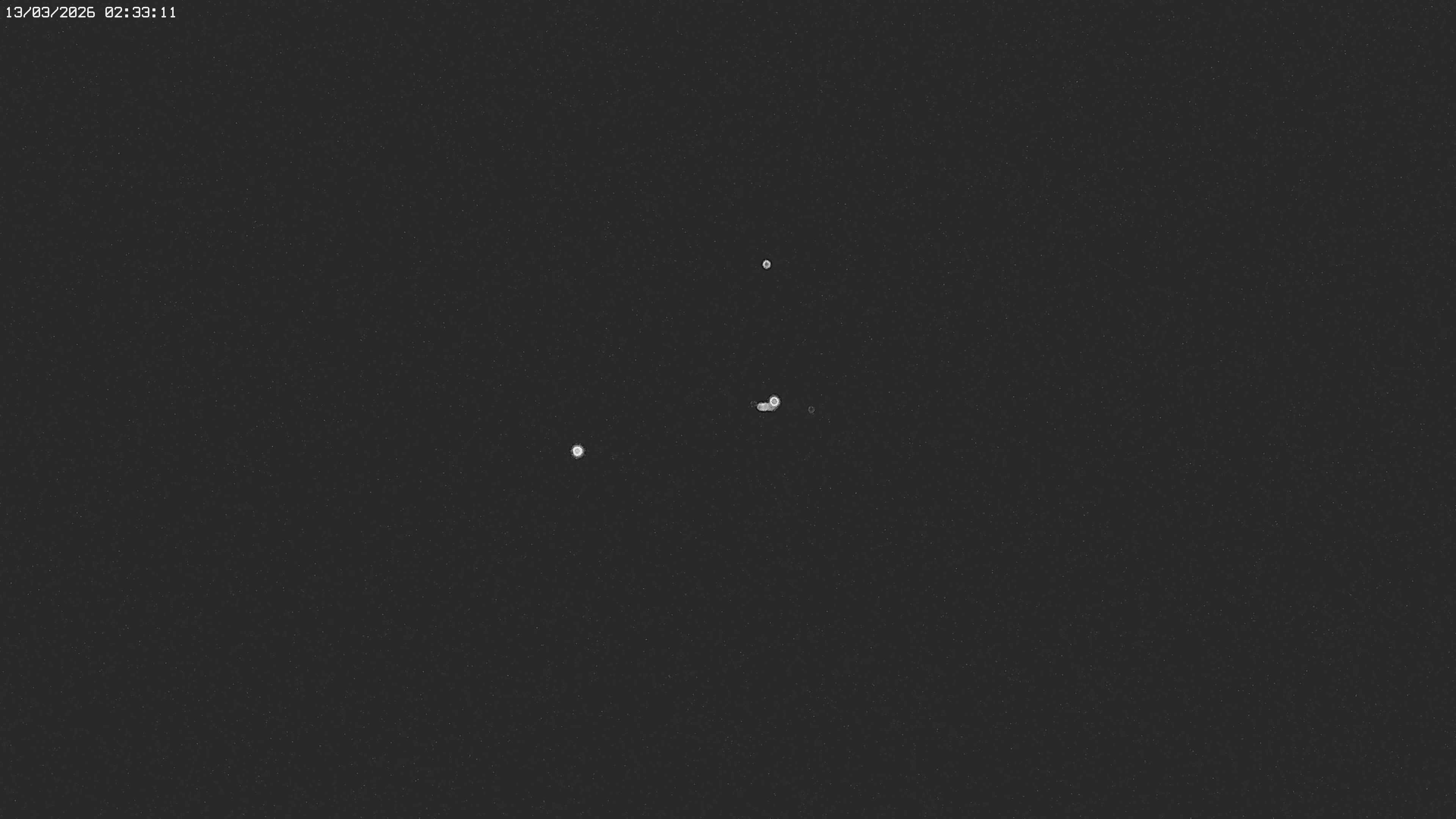 Archiv Foto Webcam Jägeralpe bei Warth