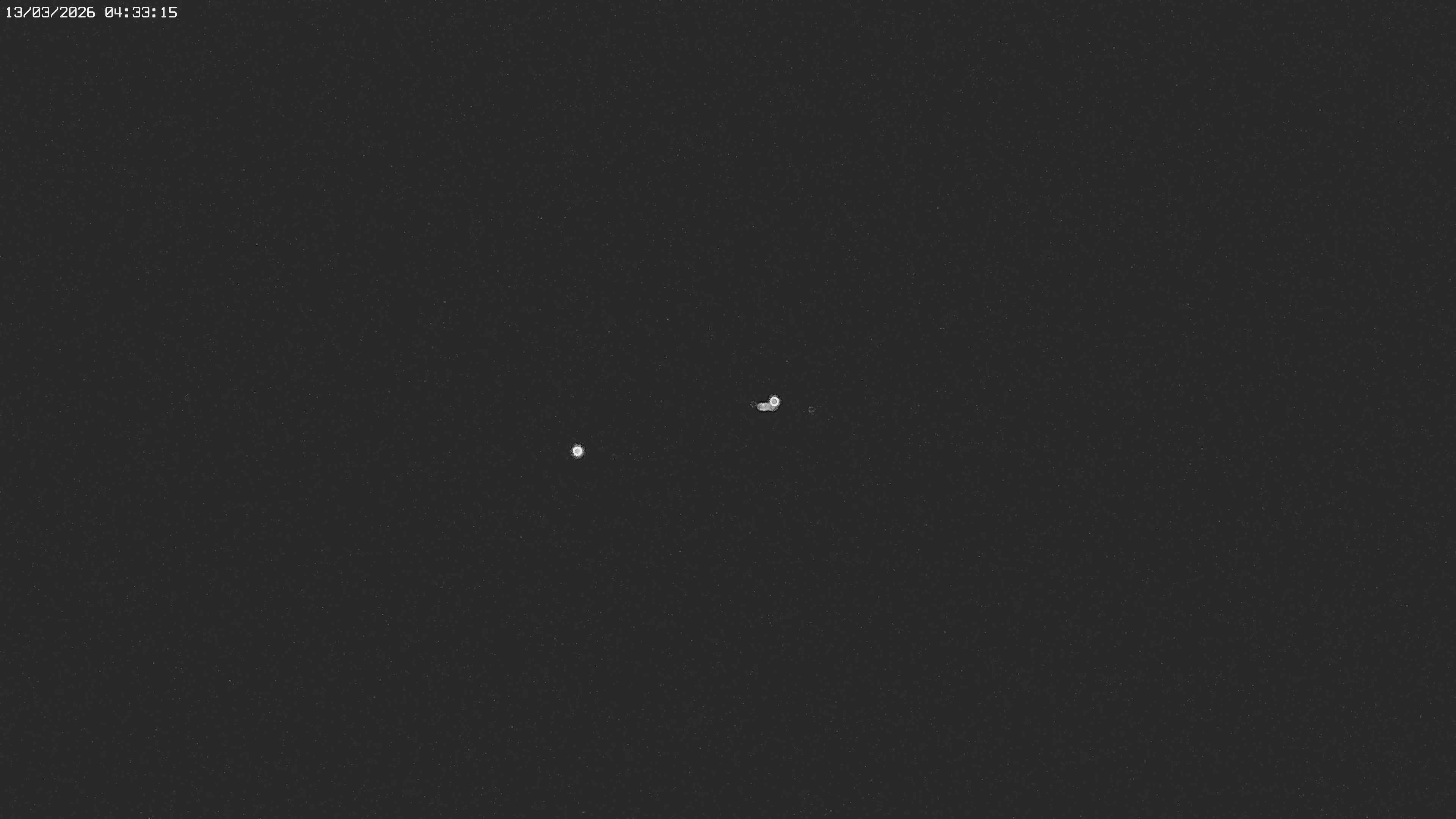 Archiv Foto Webcam Jägeralpe bei Warth