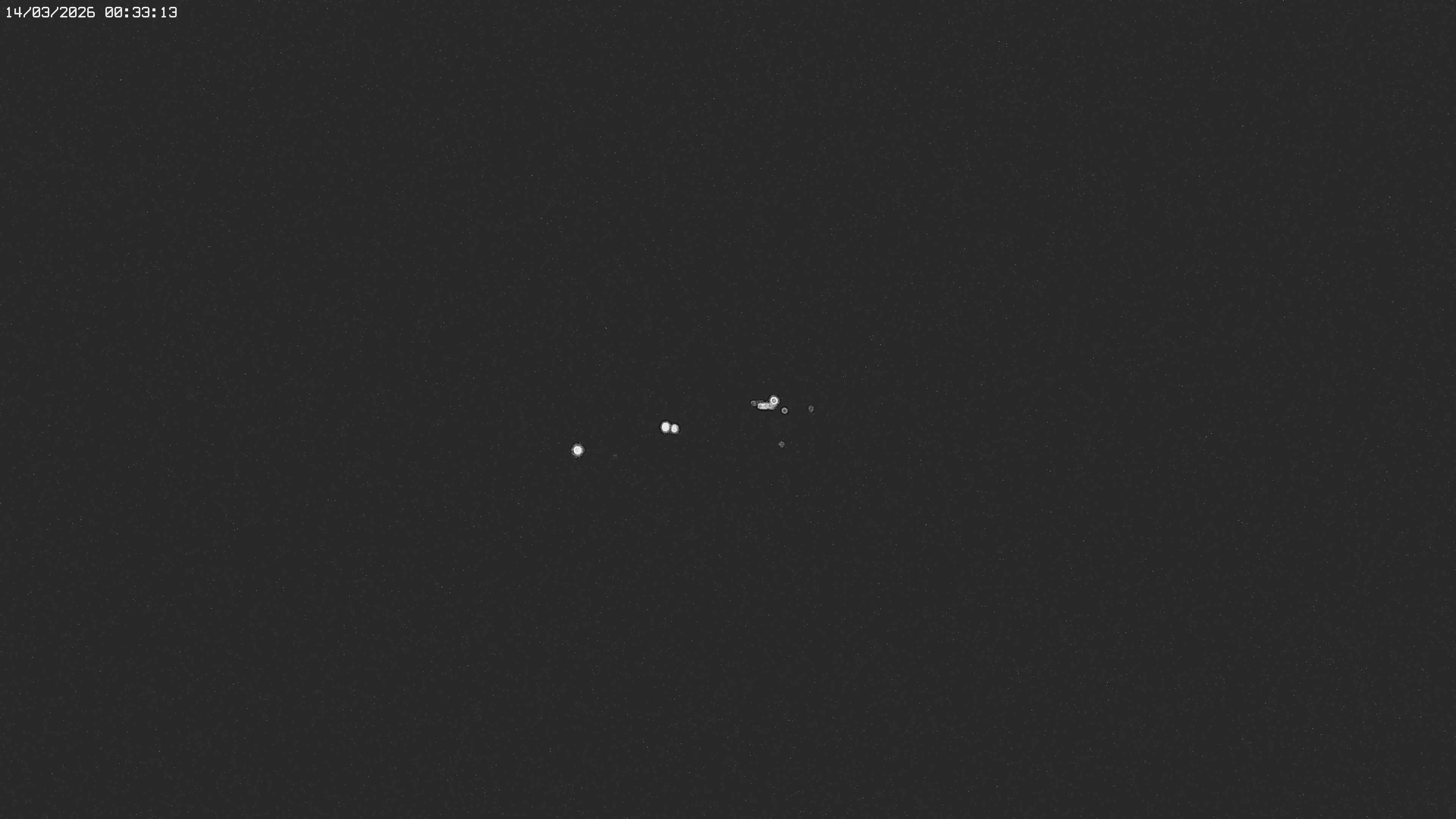 Archived image Webcam Jägeralpe near Warth