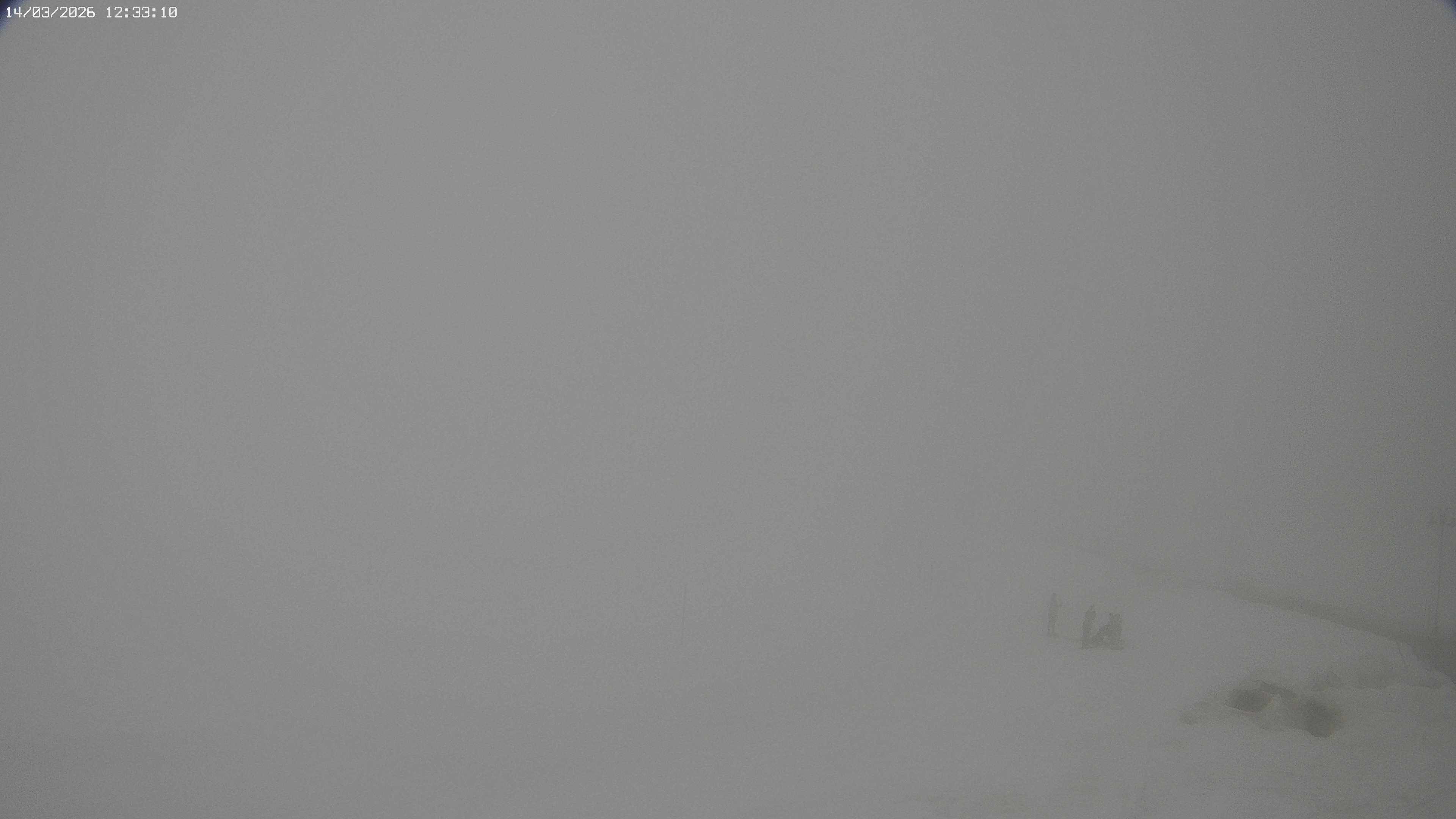 Archived image Webcam Jägeralpe near Warth