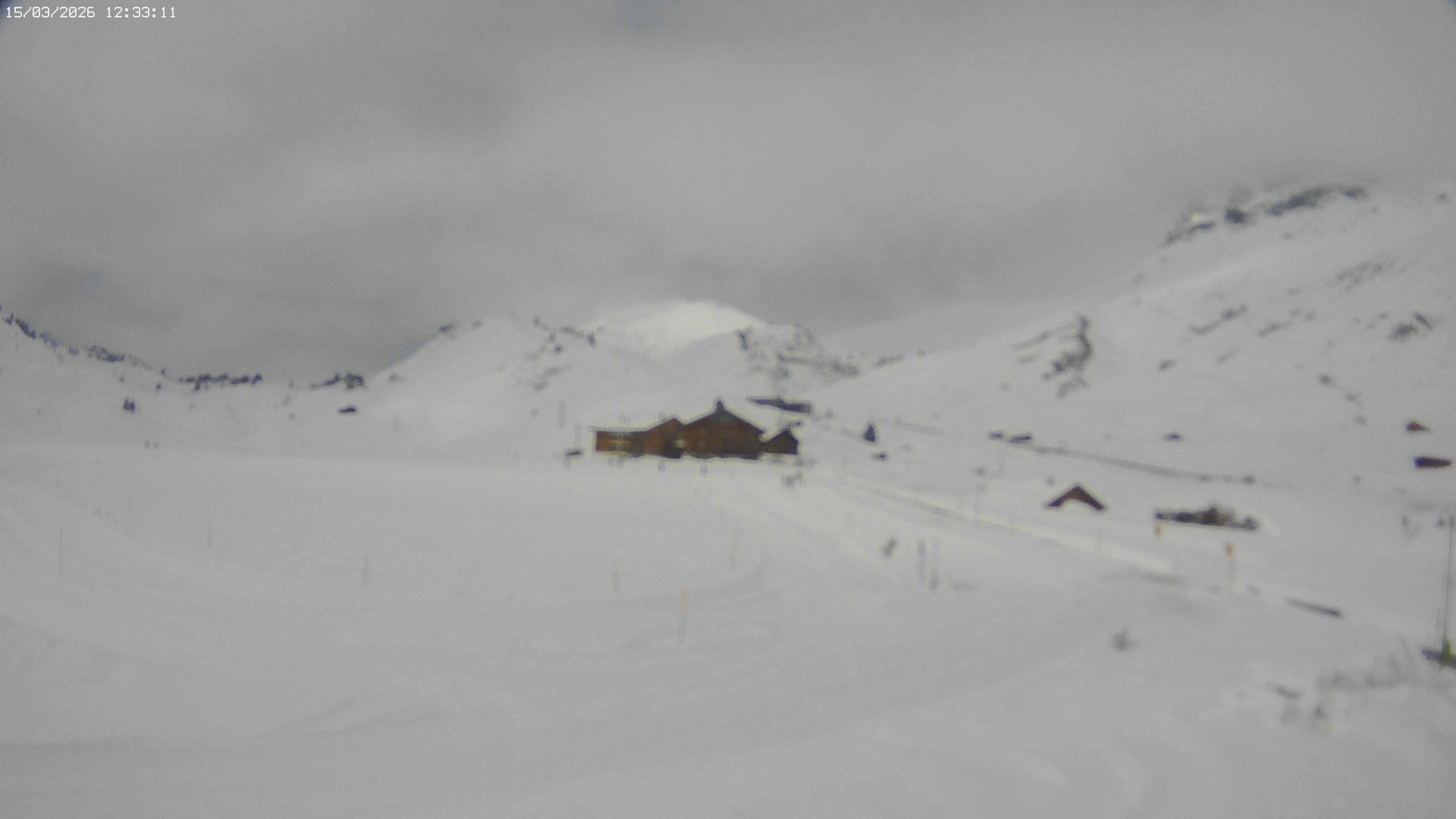 Archiv Foto Webcam Jägeralpe bei Warth