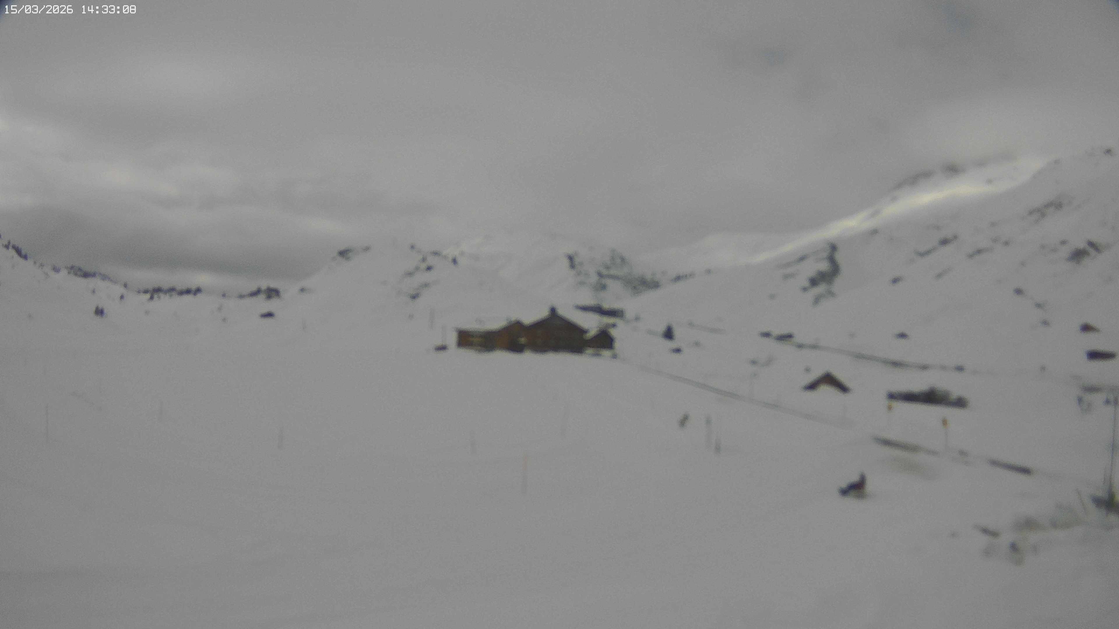 Archiv Foto Webcam Jägeralpe bei Warth