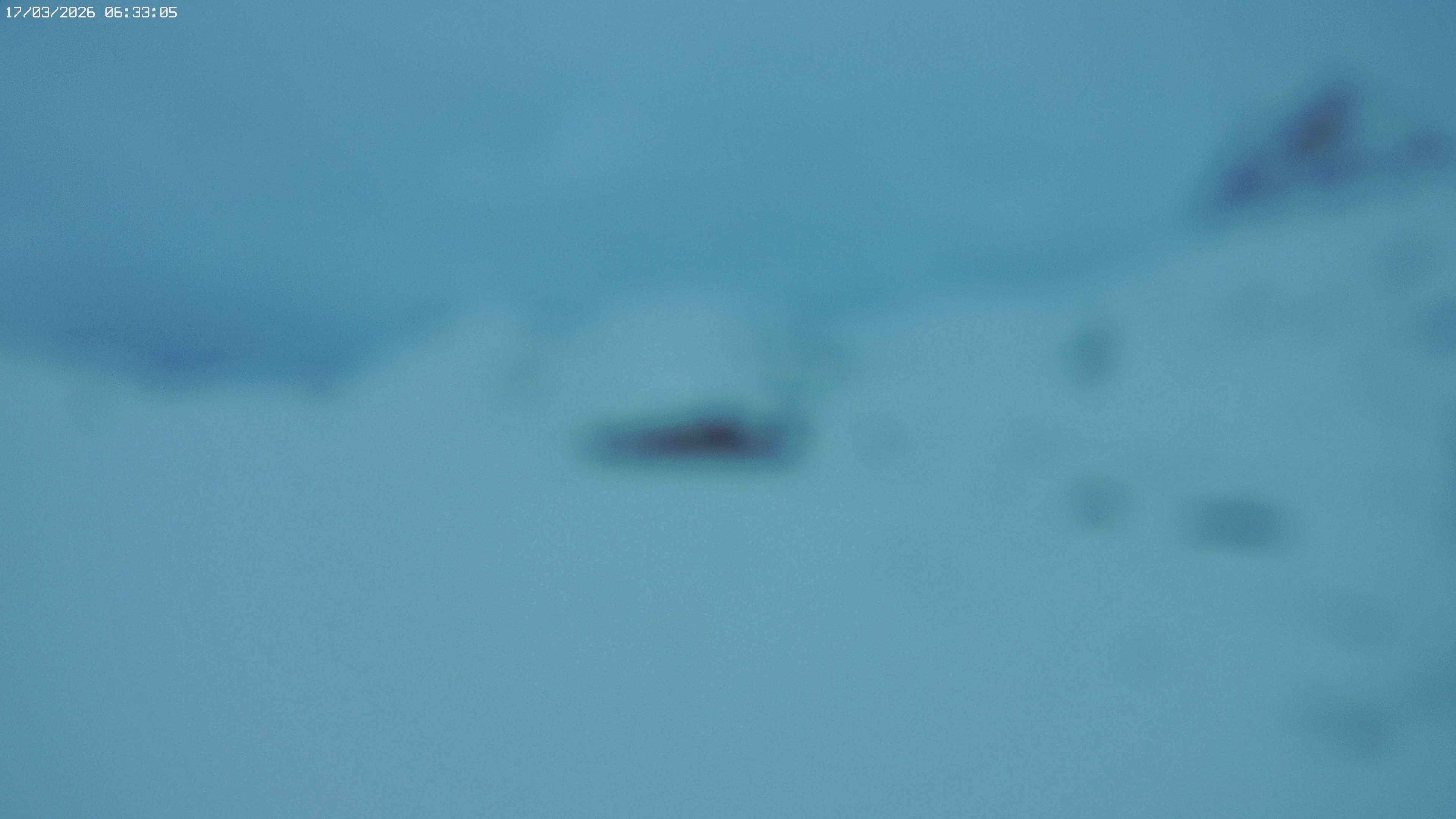 Archiv Foto Webcam Jägeralpe bei Warth