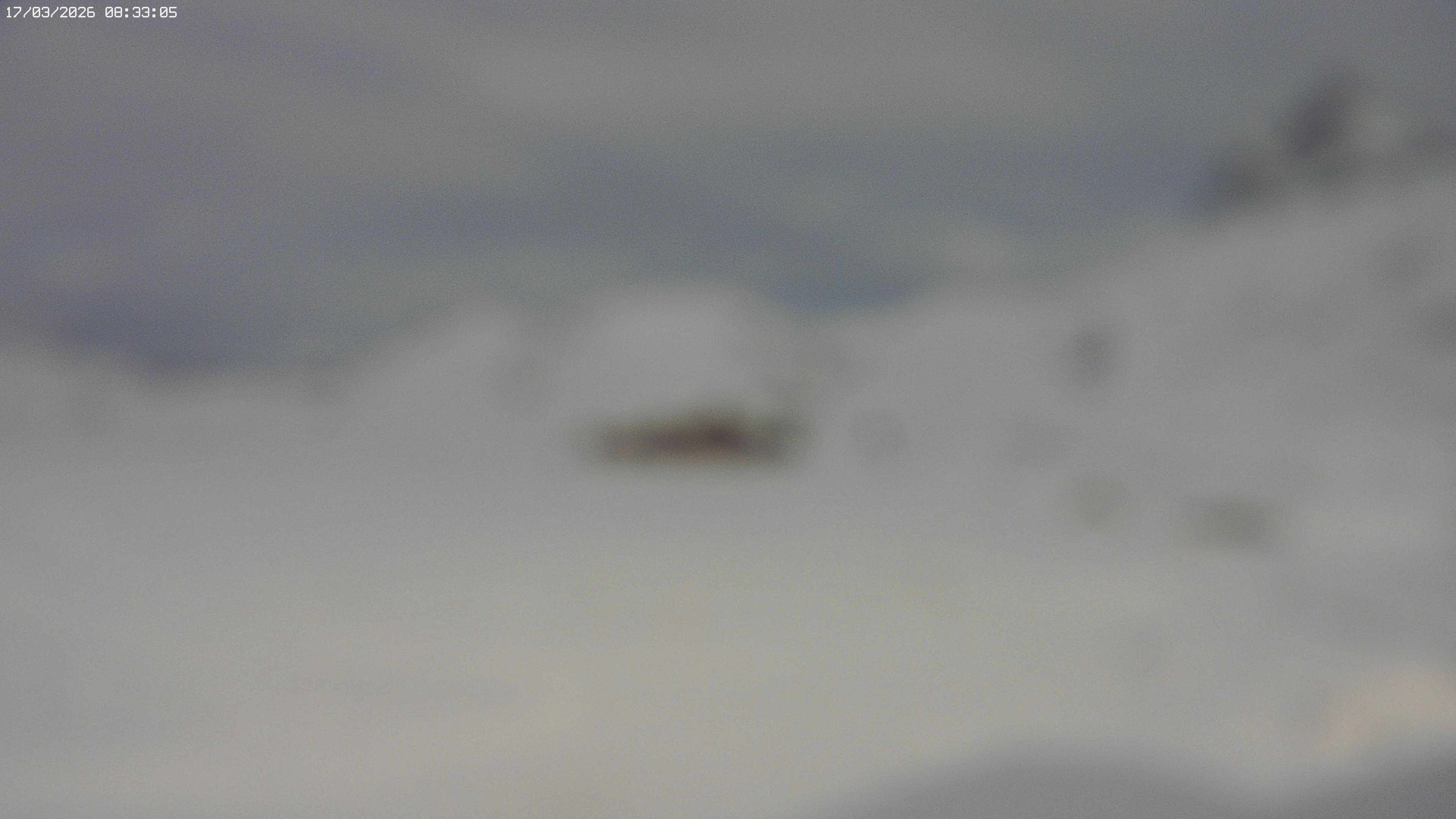 Archiv Foto Webcam Jägeralpe bei Warth