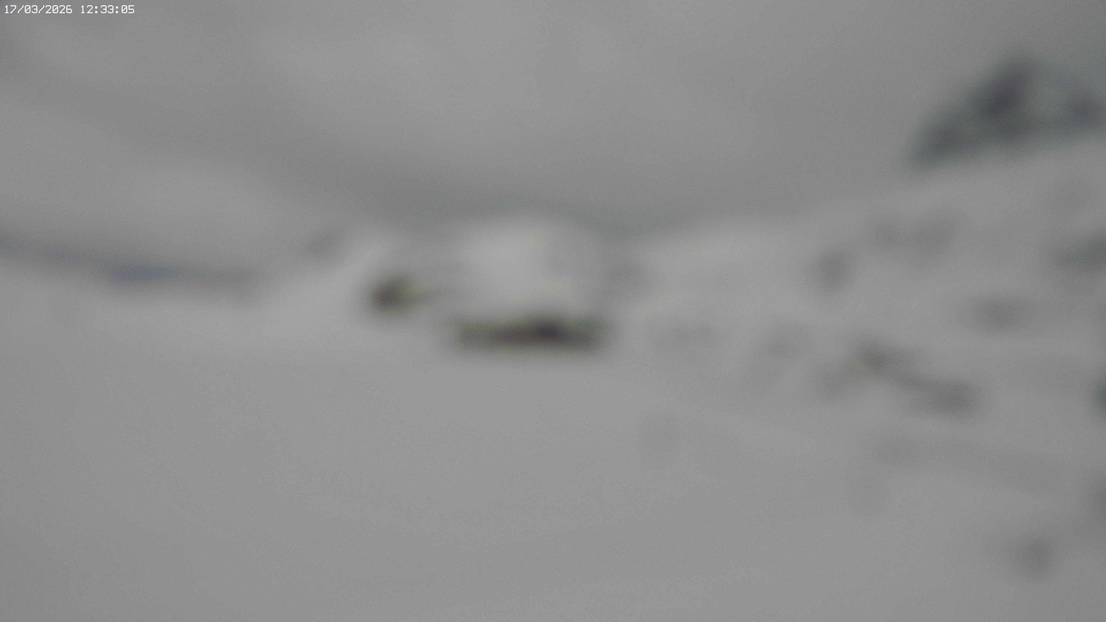 Archiv Foto Webcam Jägeralpe bei Warth