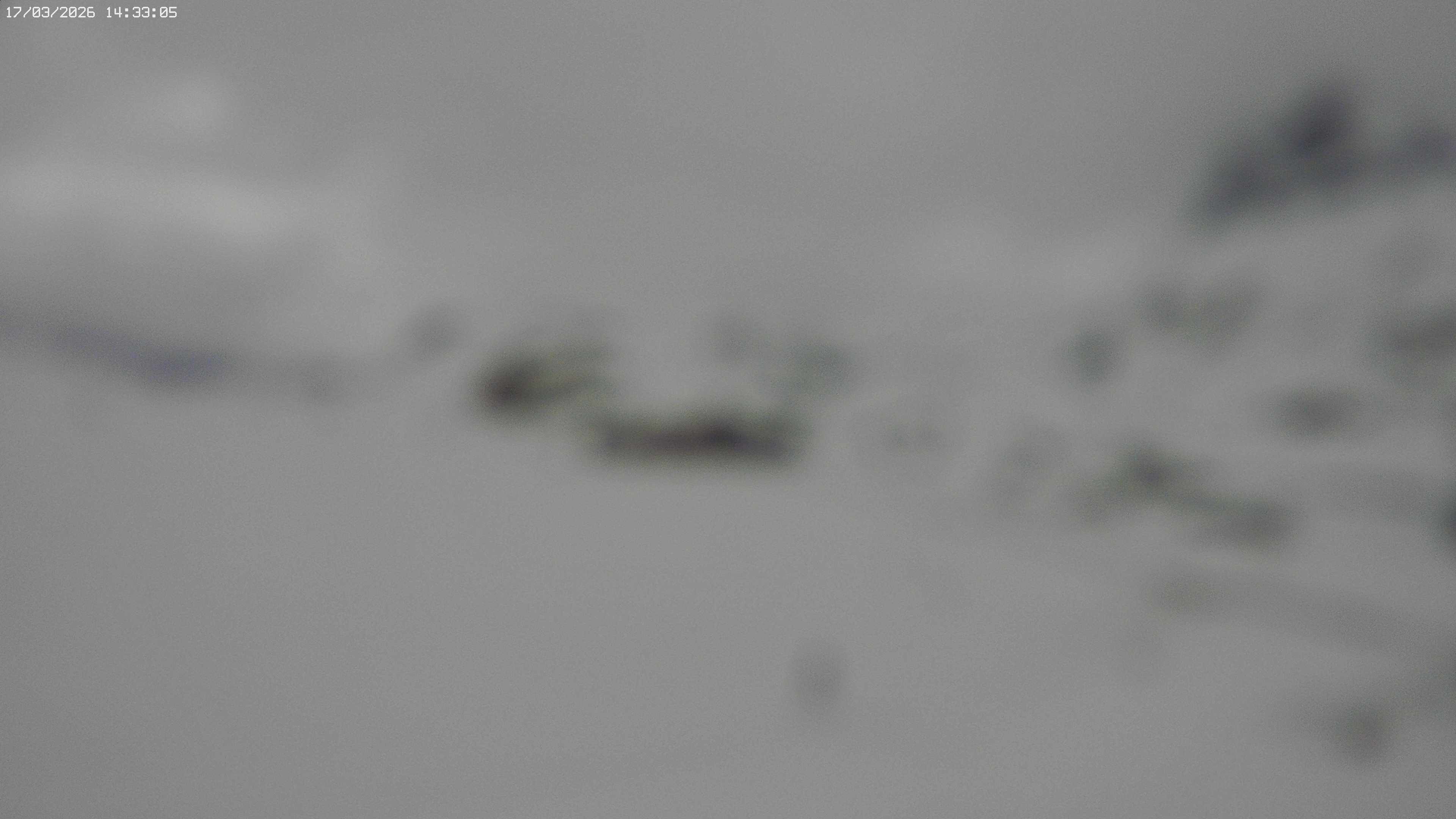 Archiv Foto Webcam Jägeralpe bei Warth