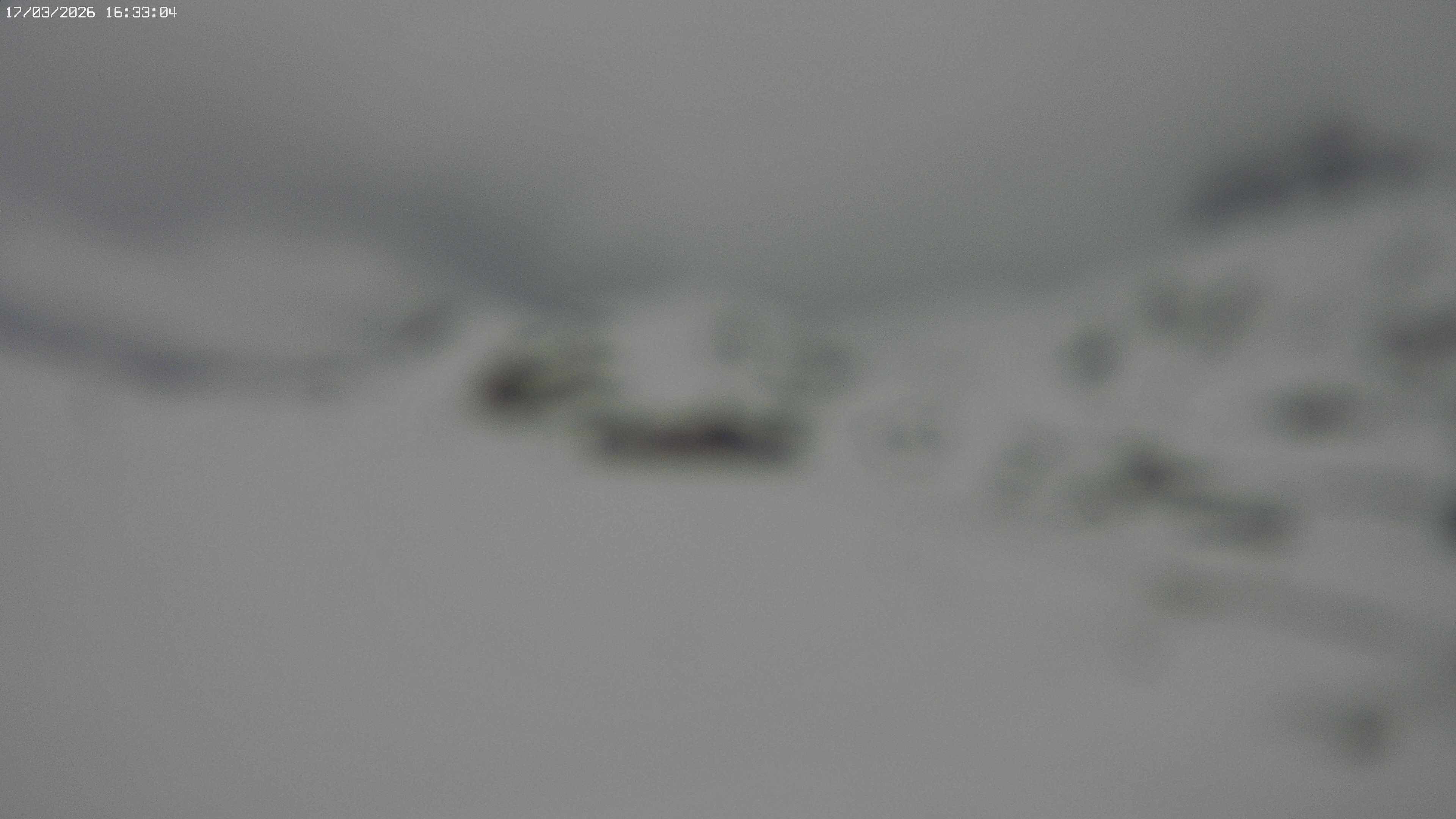 Archiv Foto Webcam Jägeralpe bei Warth