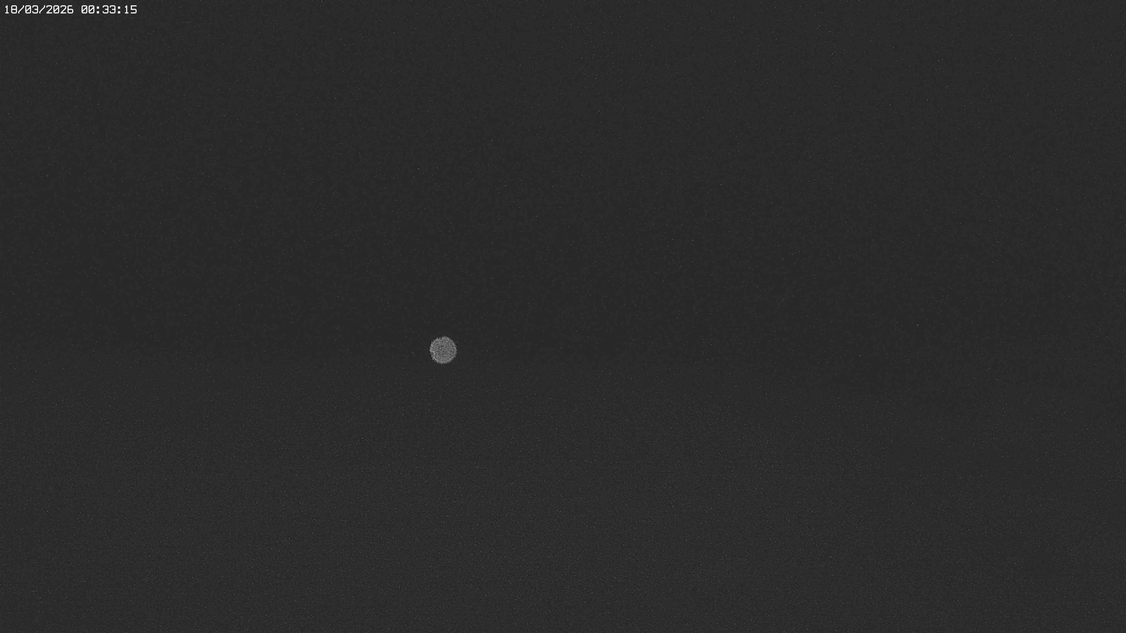 Archiv Foto Webcam Jägeralpe bei Warth