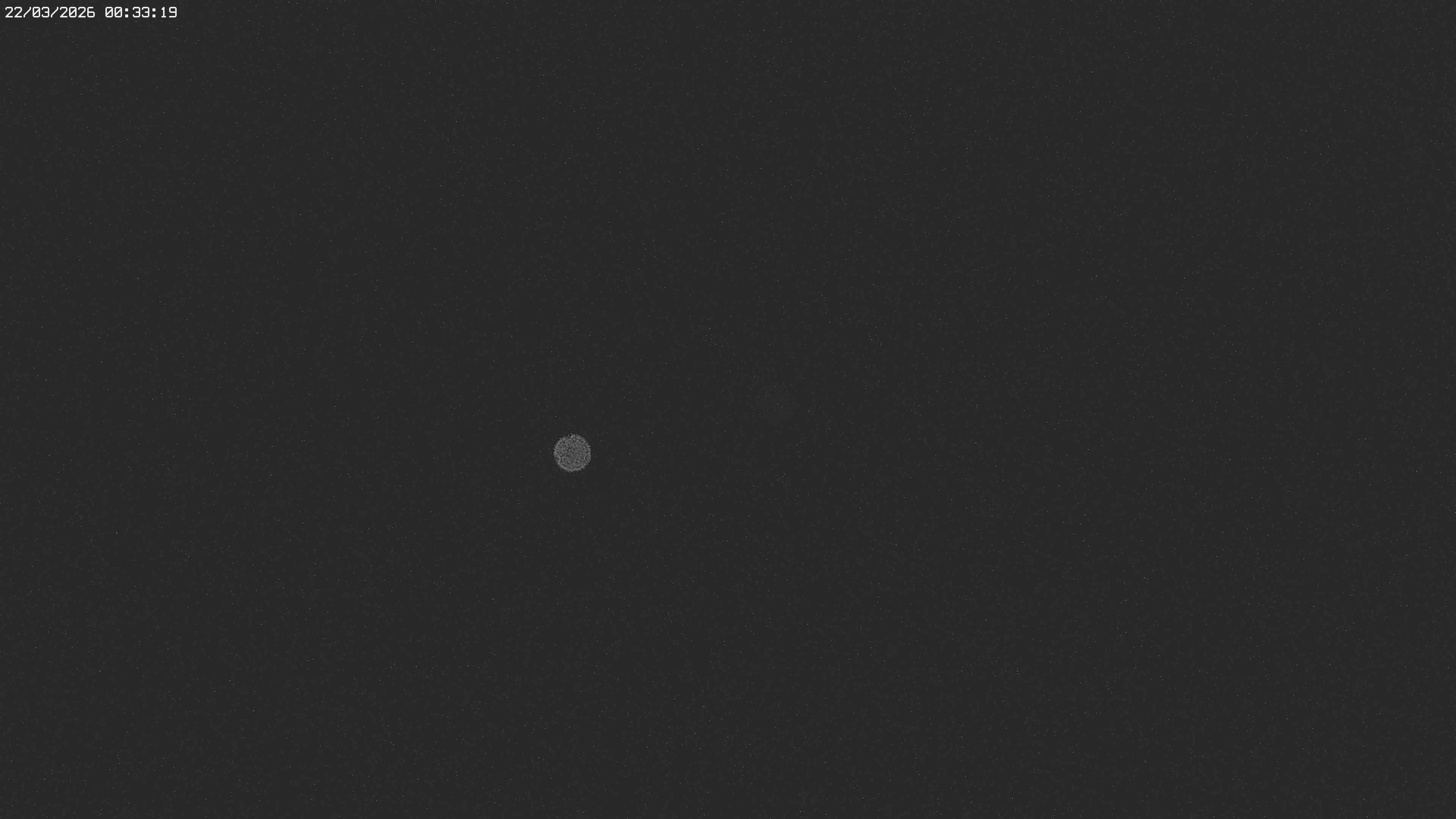 Archiv Foto Webcam Jägeralpe bei Warth