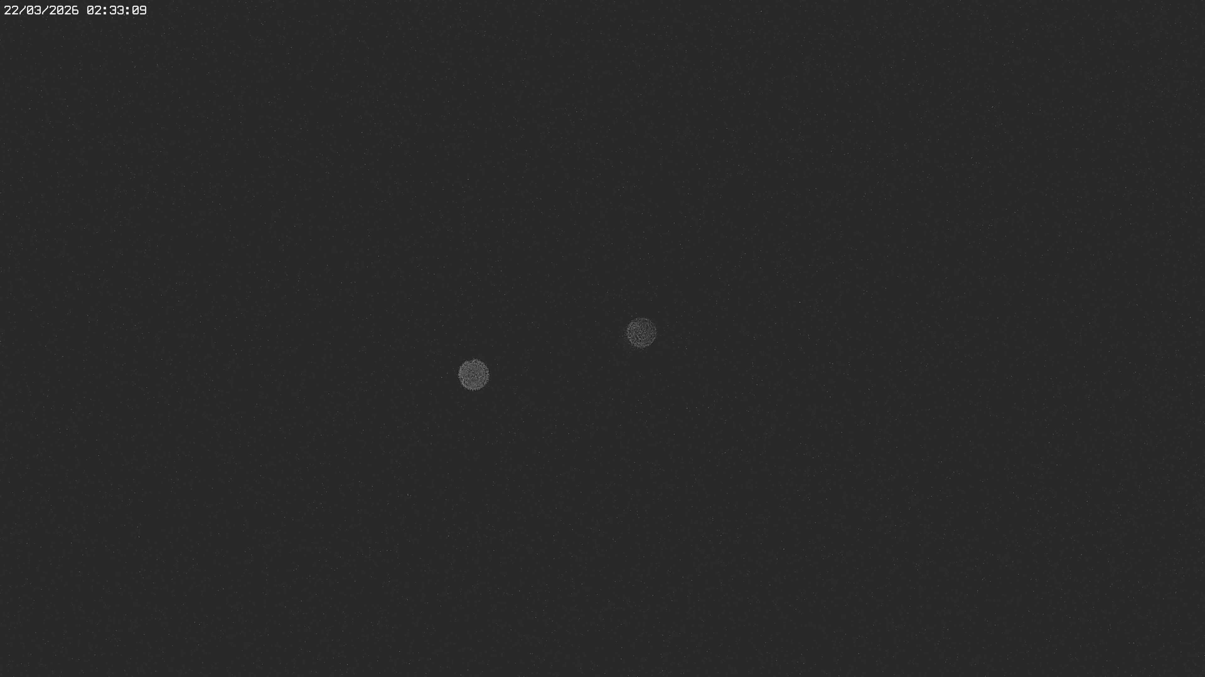 Archiv Foto Webcam Jägeralpe bei Warth