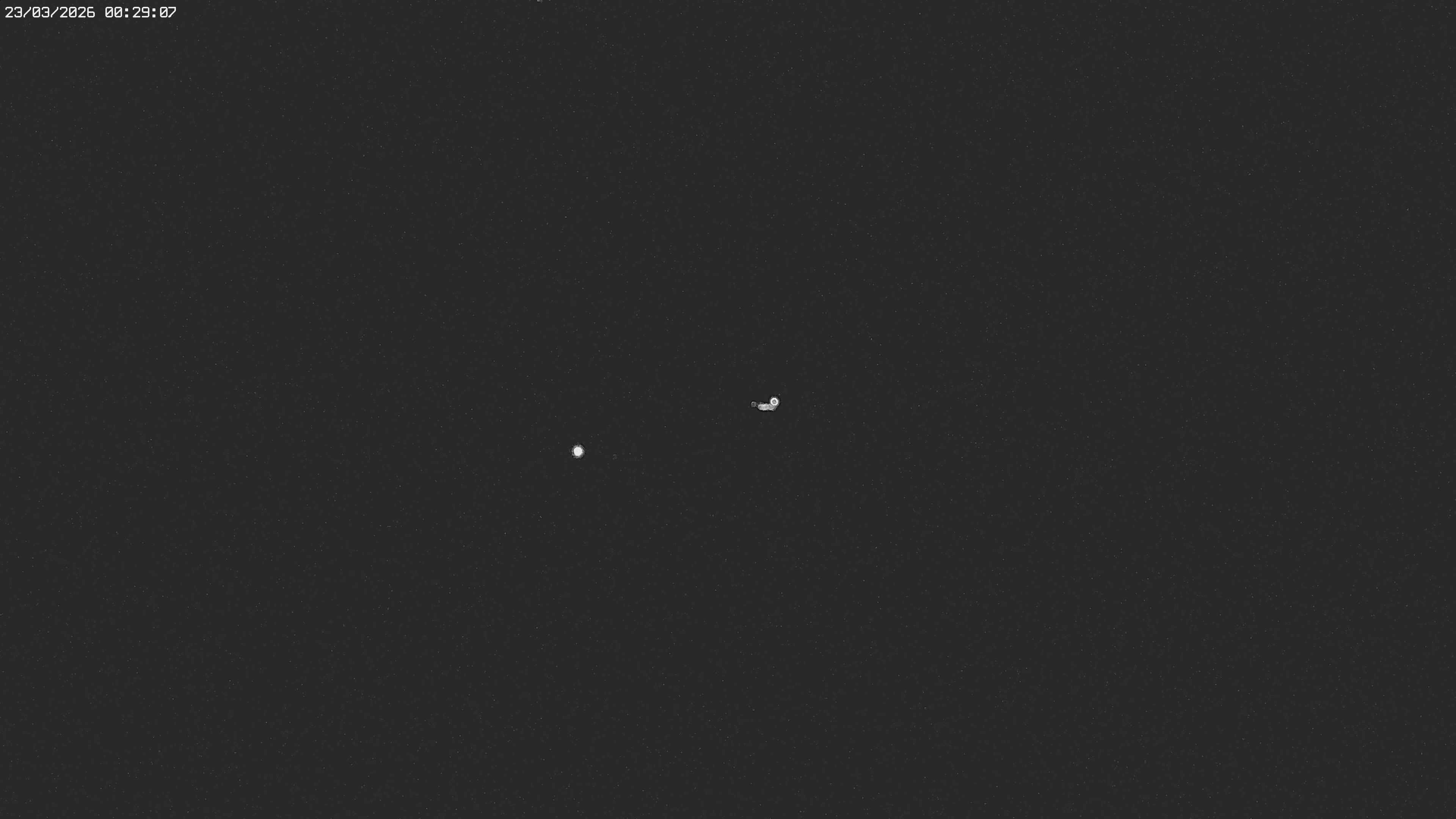 Archiv Foto Webcam Jägeralpe bei Warth