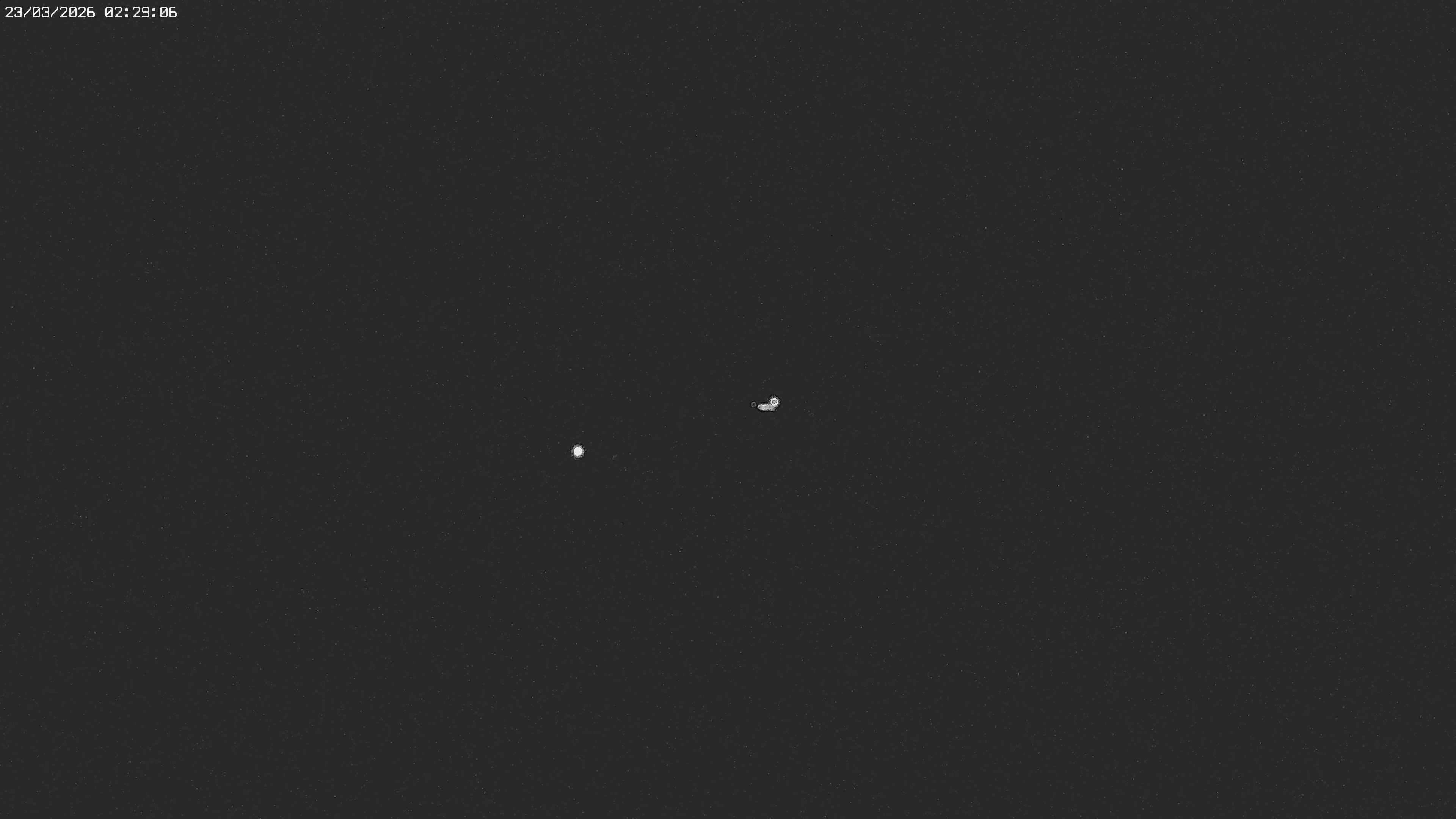 Archiv Foto Webcam Jägeralpe bei Warth