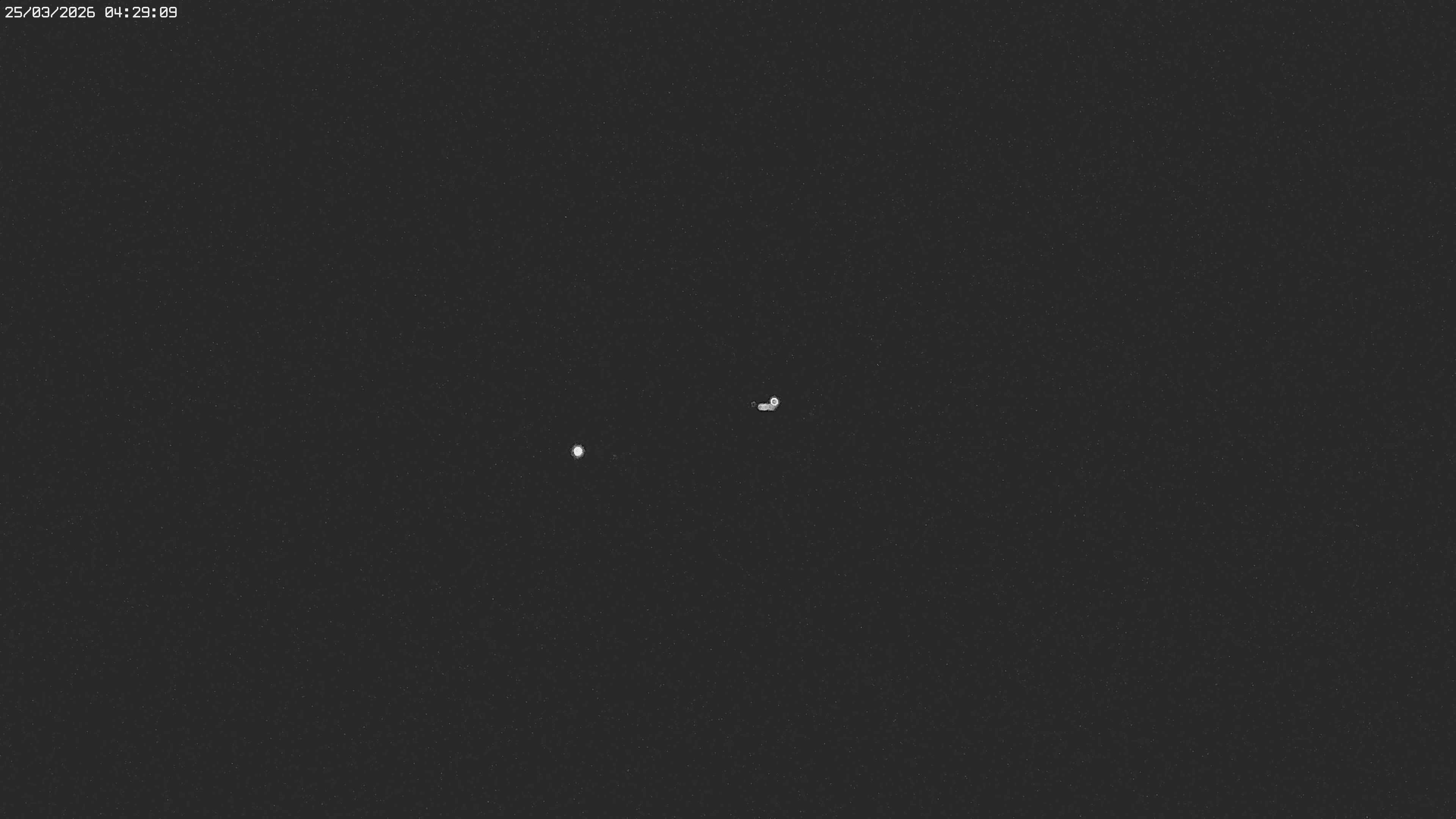 Archiv Foto Webcam Jägeralpe bei Warth