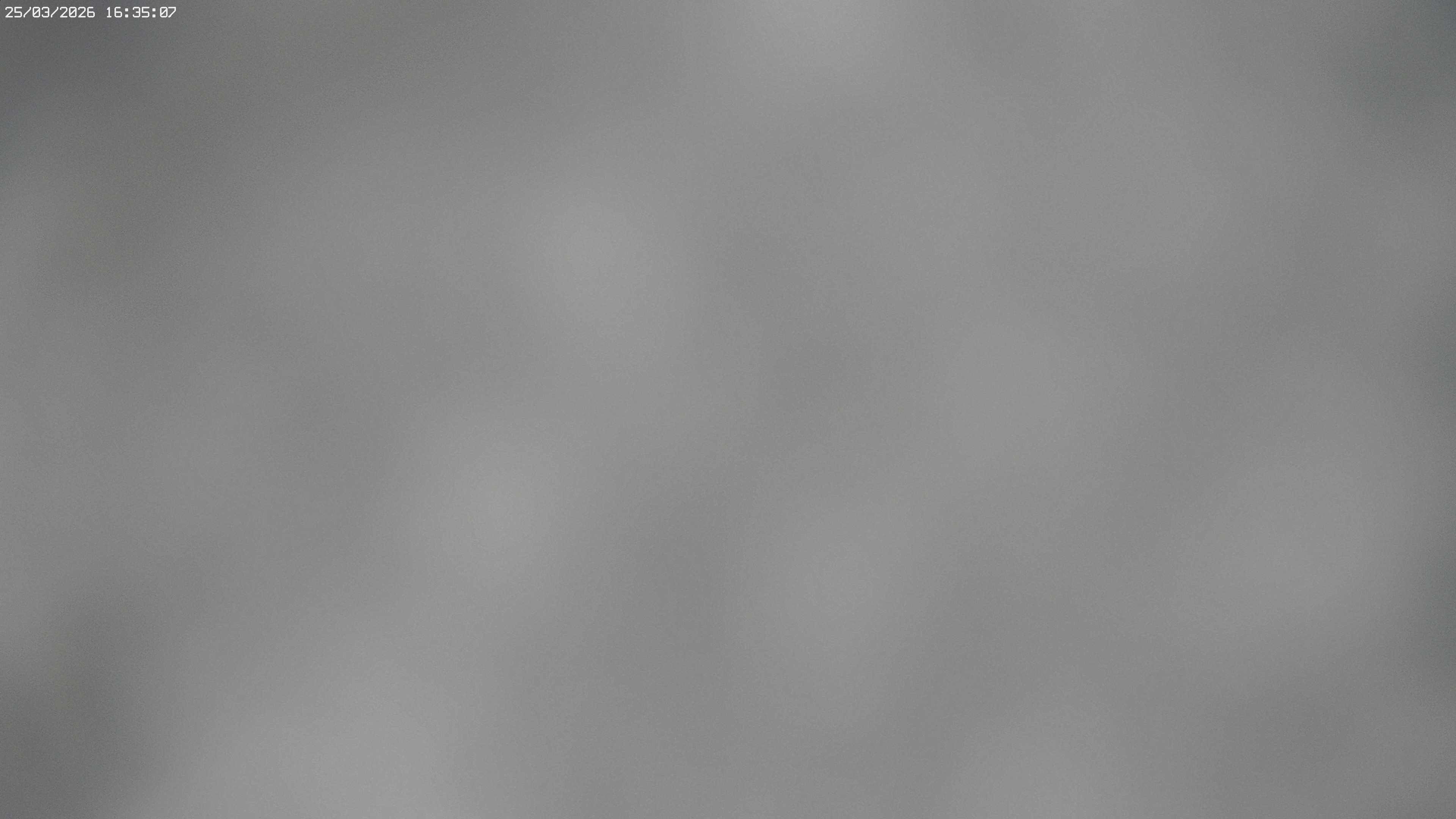 Archiv Foto Webcam Jägeralpe bei Warth