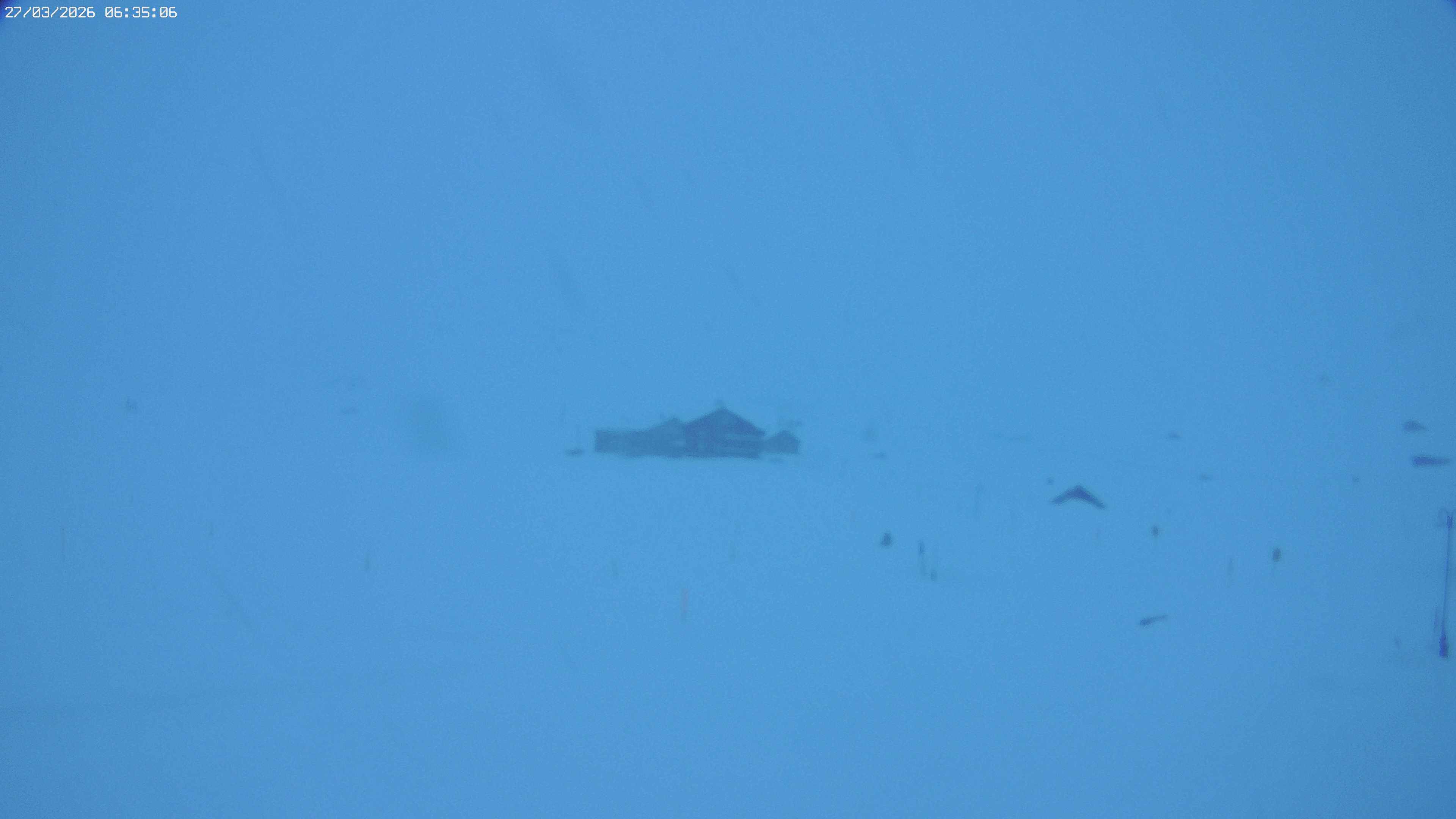 Archived image Webcam Jägeralpe near Warth