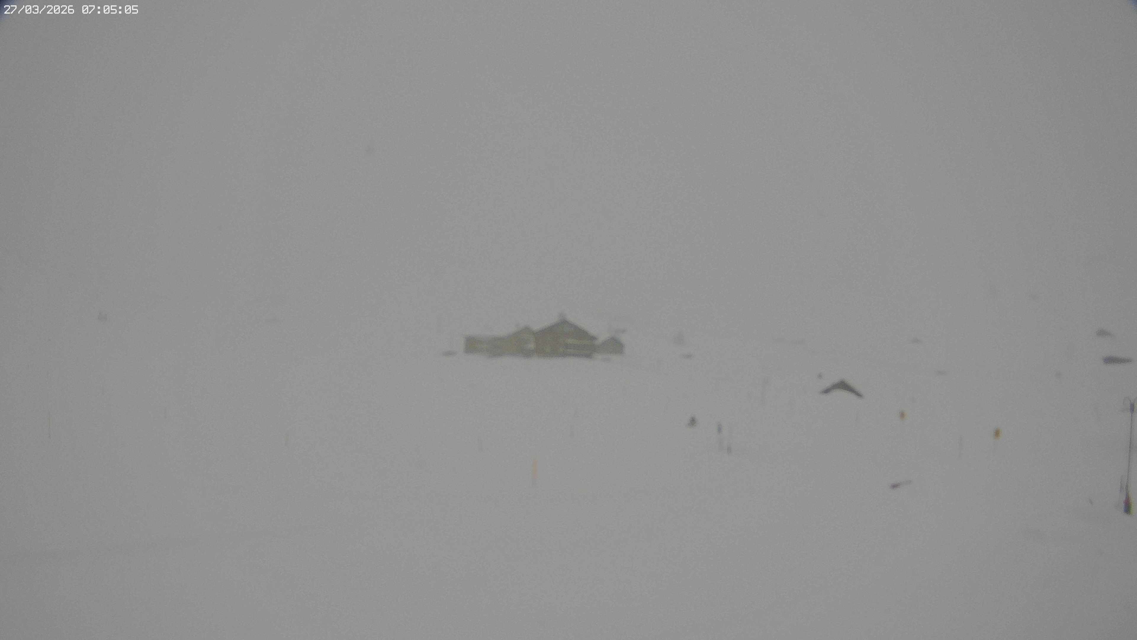 Archived image Webcam Jägeralpe near Warth