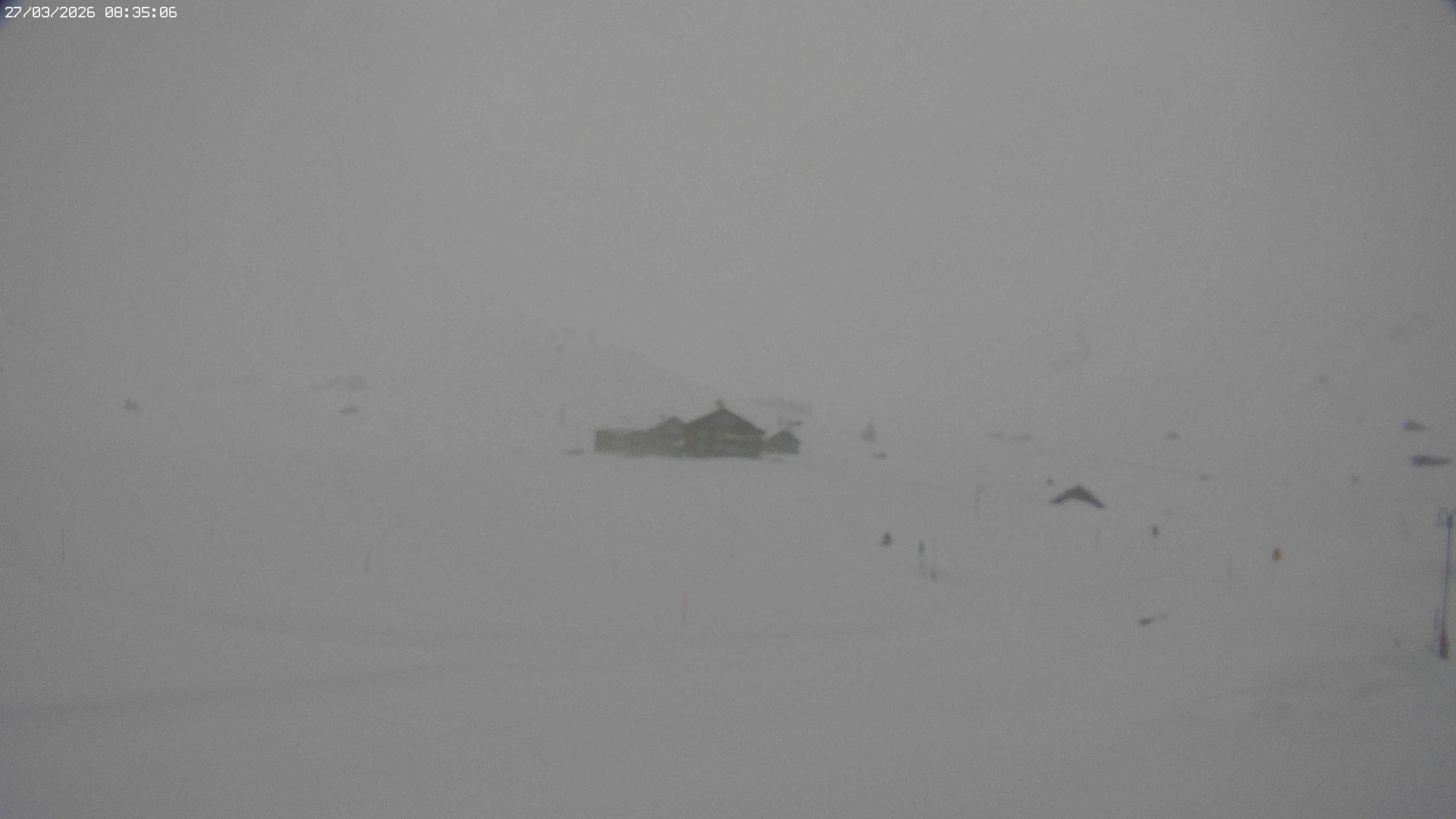 Archived image Webcam Jägeralpe near Warth