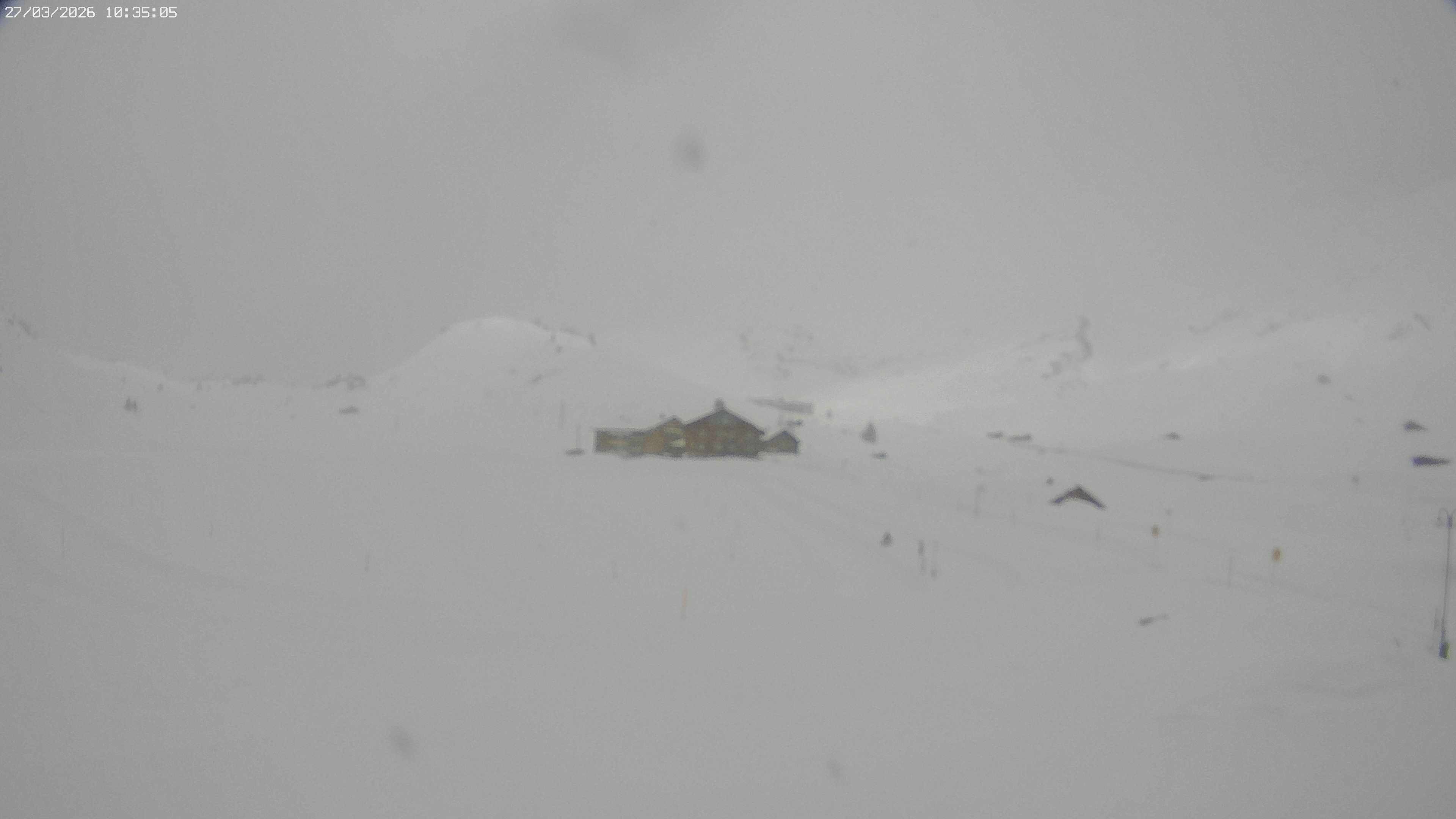 Archived image Webcam Jägeralpe near Warth