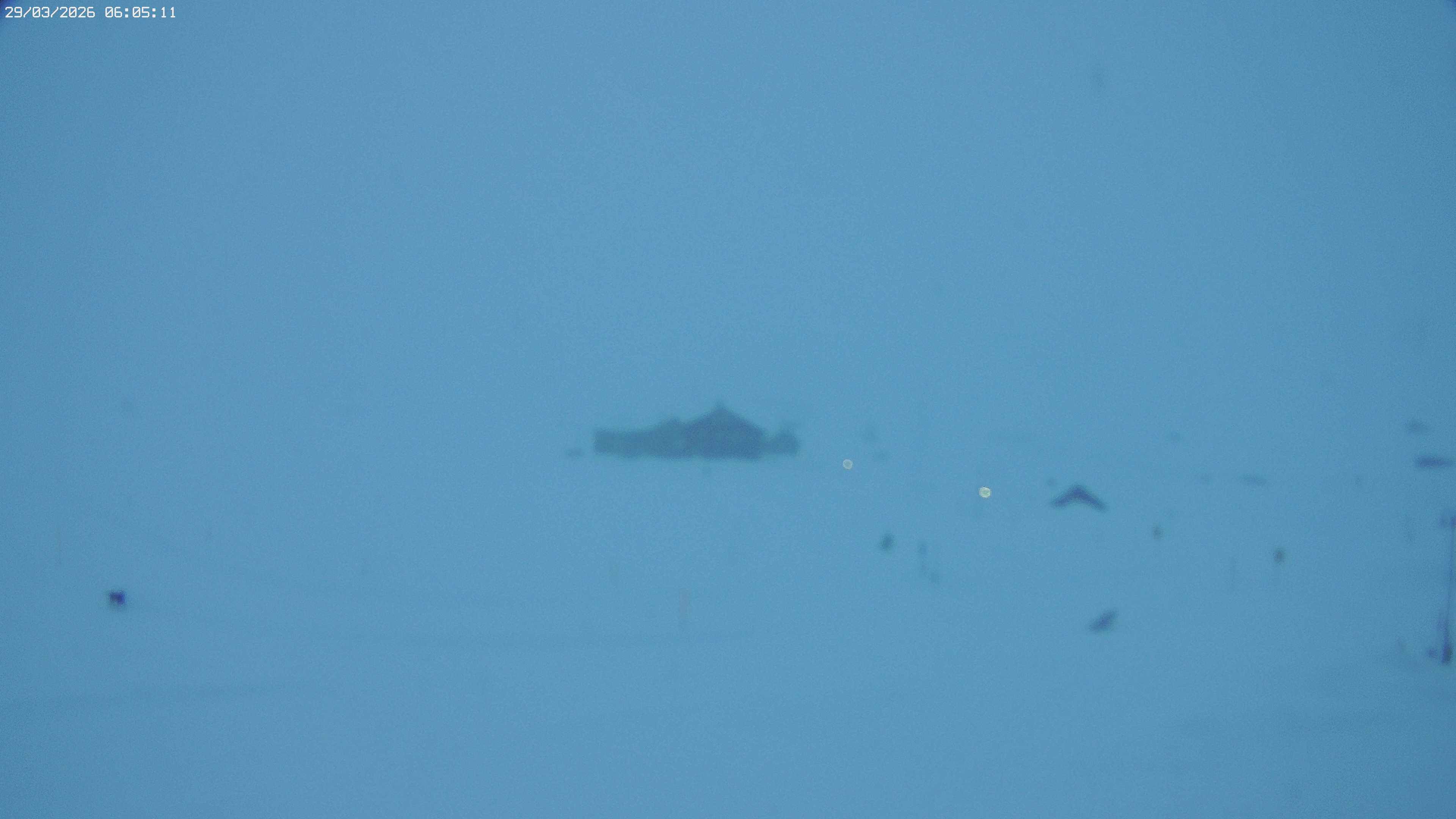 Archiv Foto Webcam Jägeralpe bei Warth