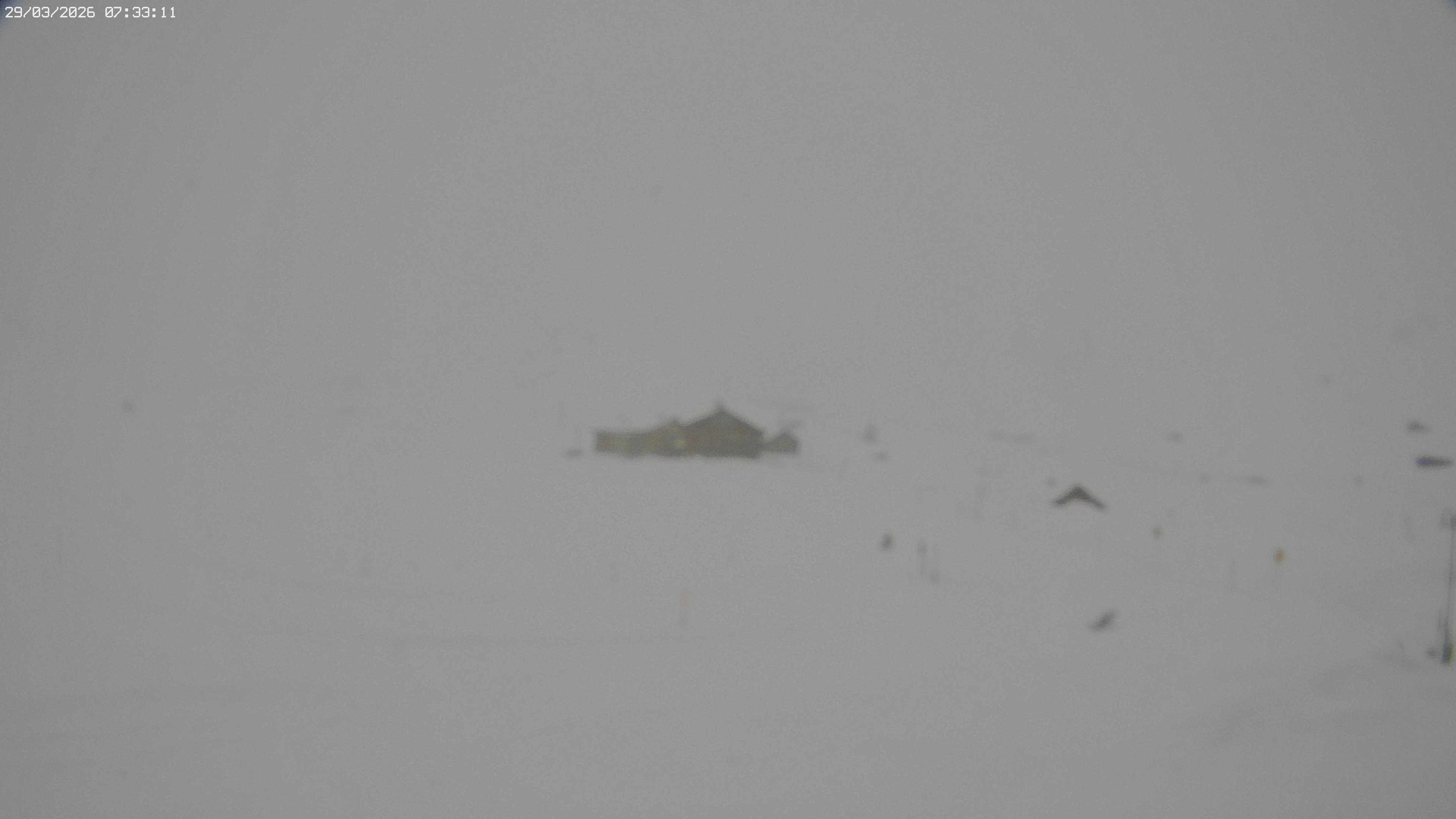 Archiv Foto Webcam Jägeralpe bei Warth