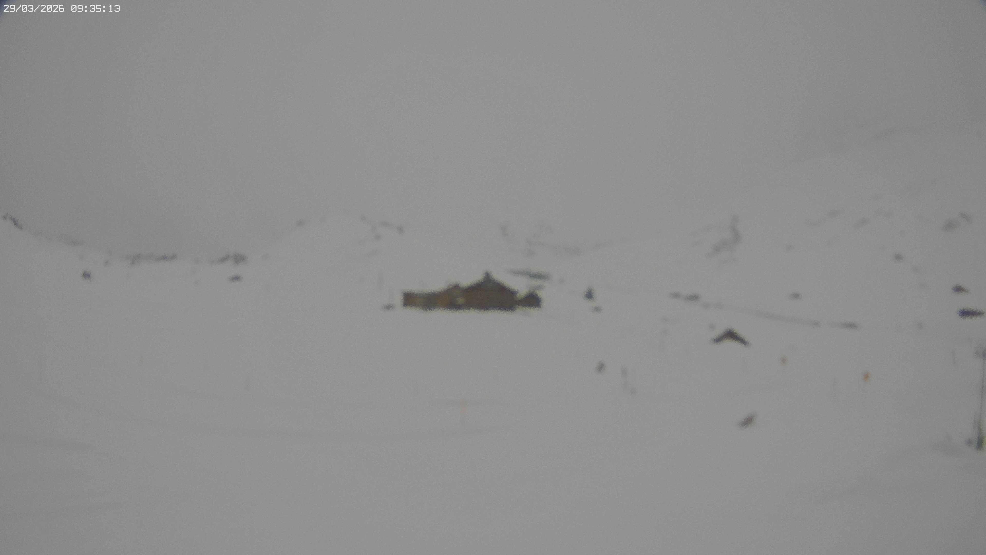 Archiv Foto Webcam Jägeralpe bei Warth