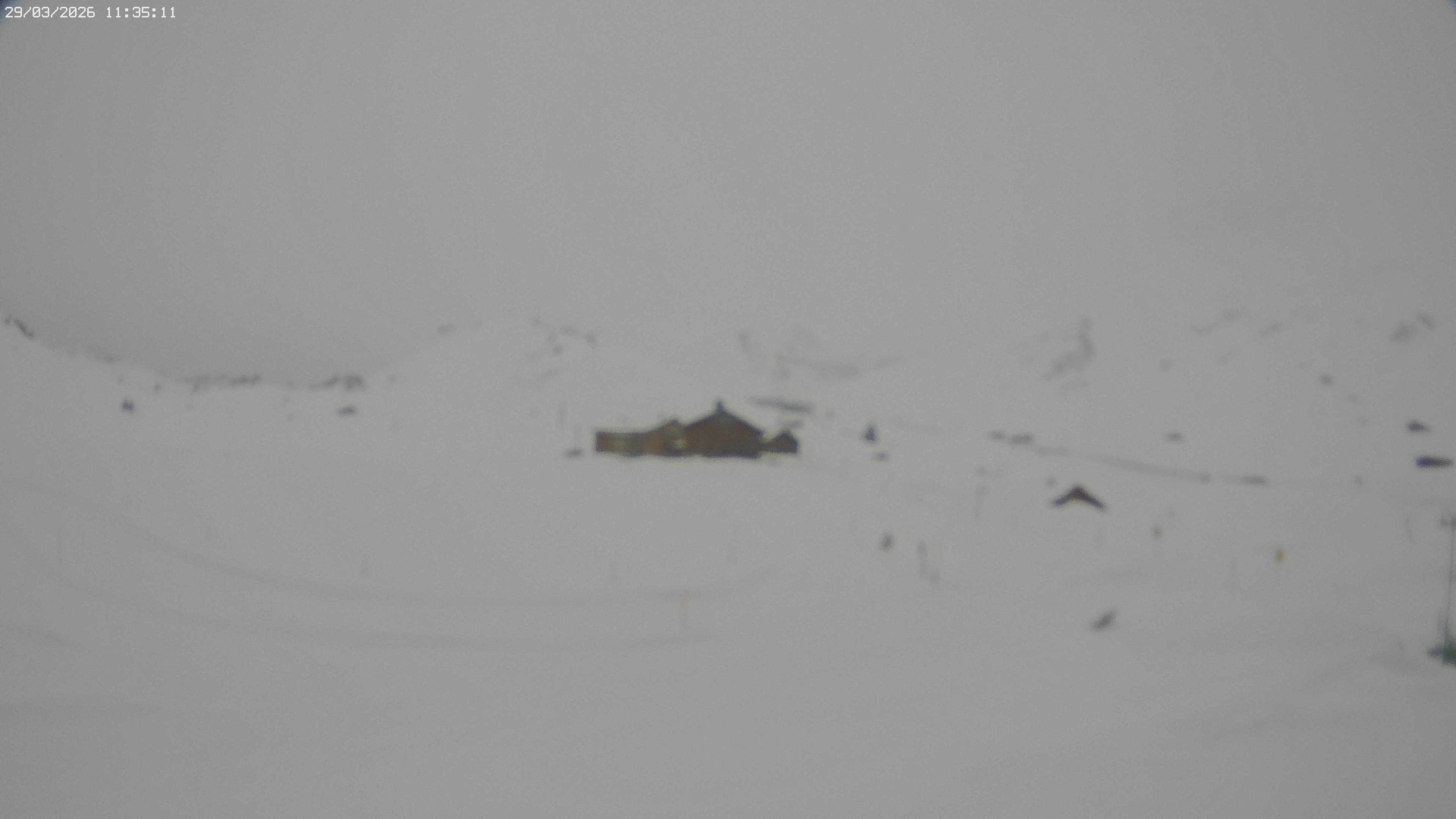 Archiv Foto Webcam Jägeralpe bei Warth