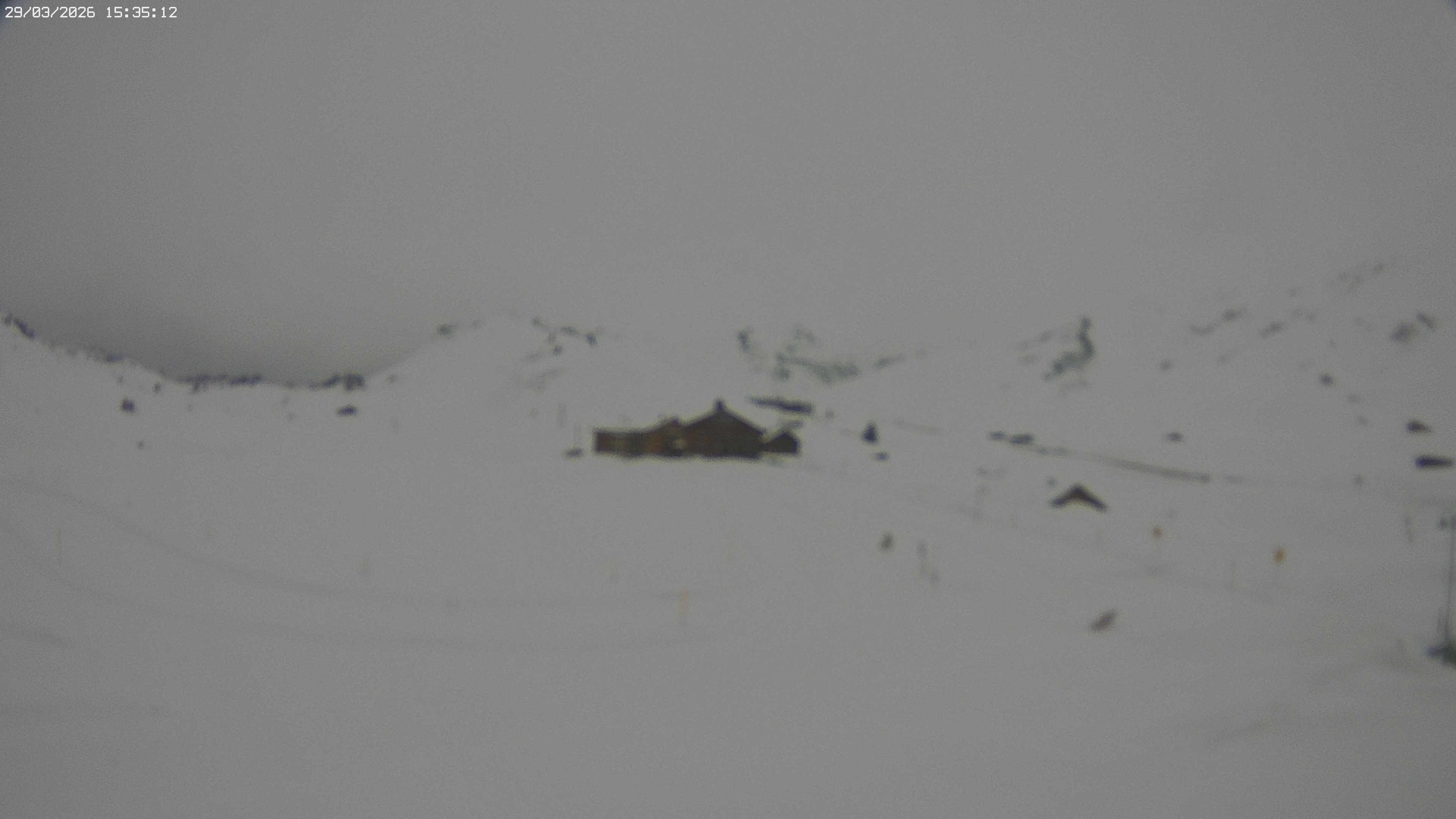 Archiv Foto Webcam Jägeralpe bei Warth