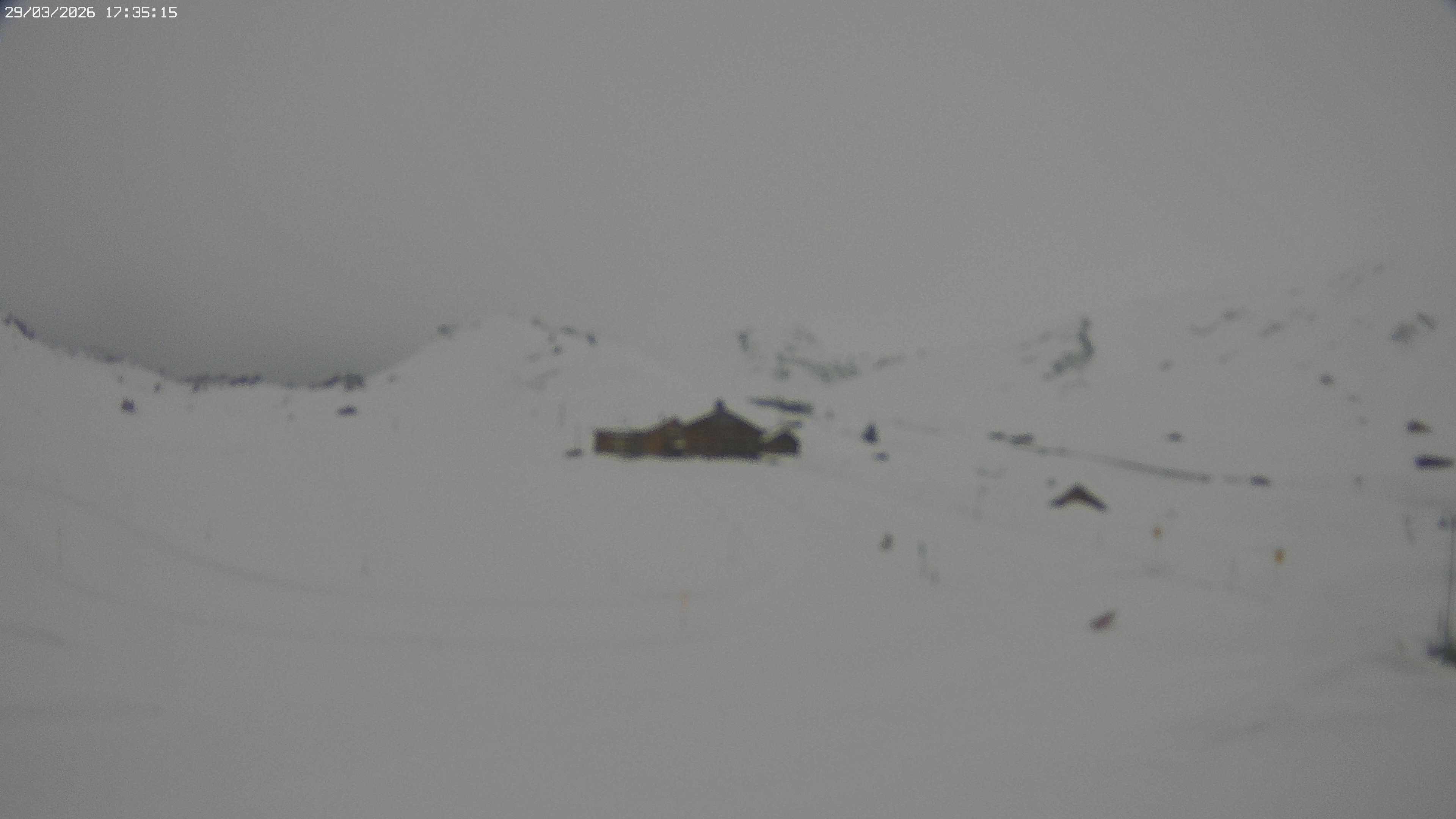 Archiv Foto Webcam Jägeralpe bei Warth