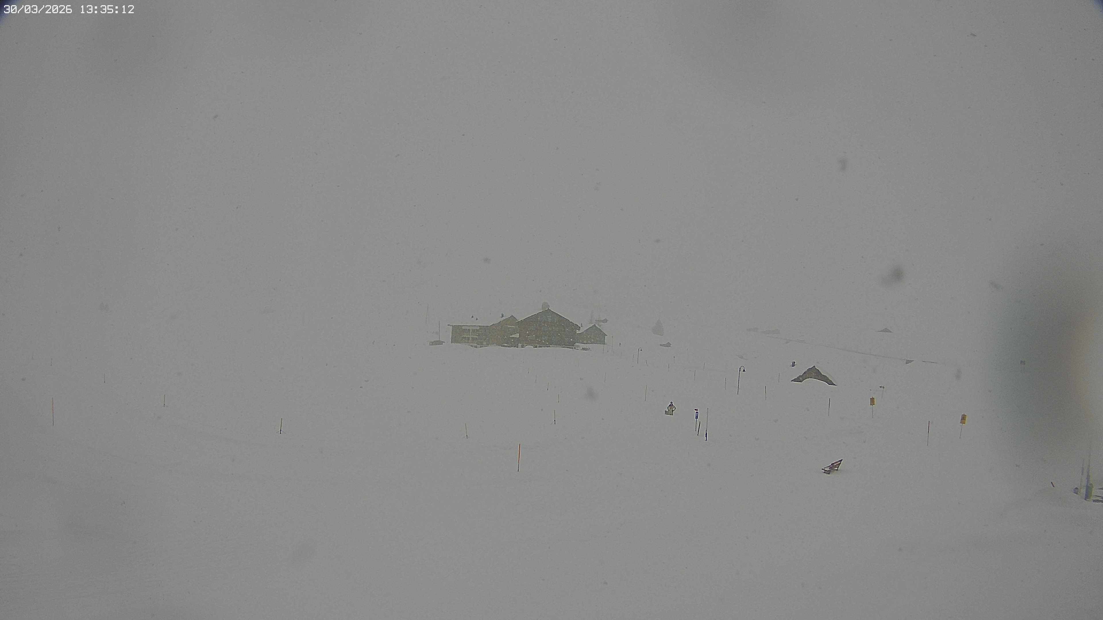 Archiv Foto Webcam Jägeralpe bei Warth