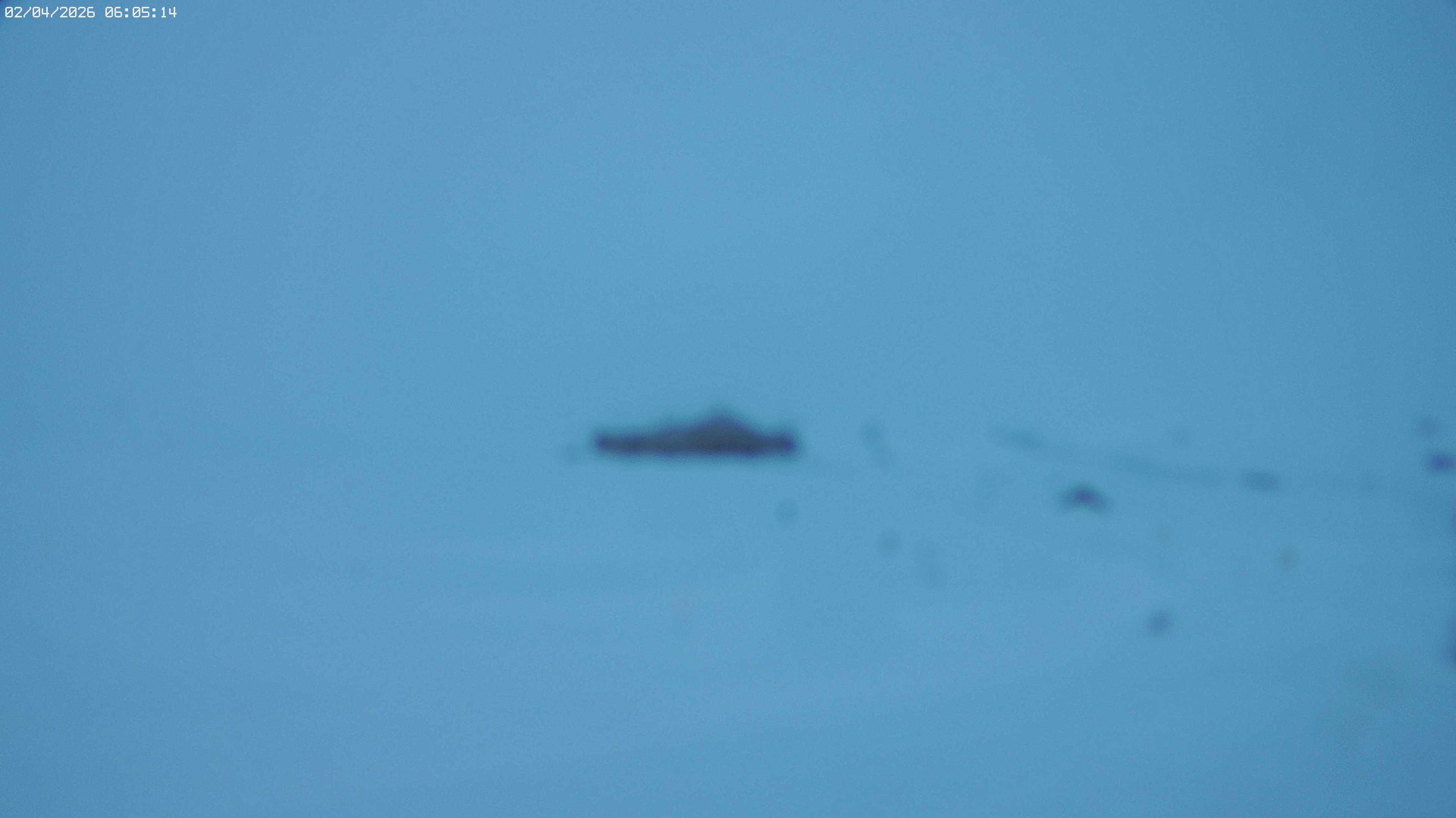 Archiv Foto Webcam Jägeralpe bei Warth