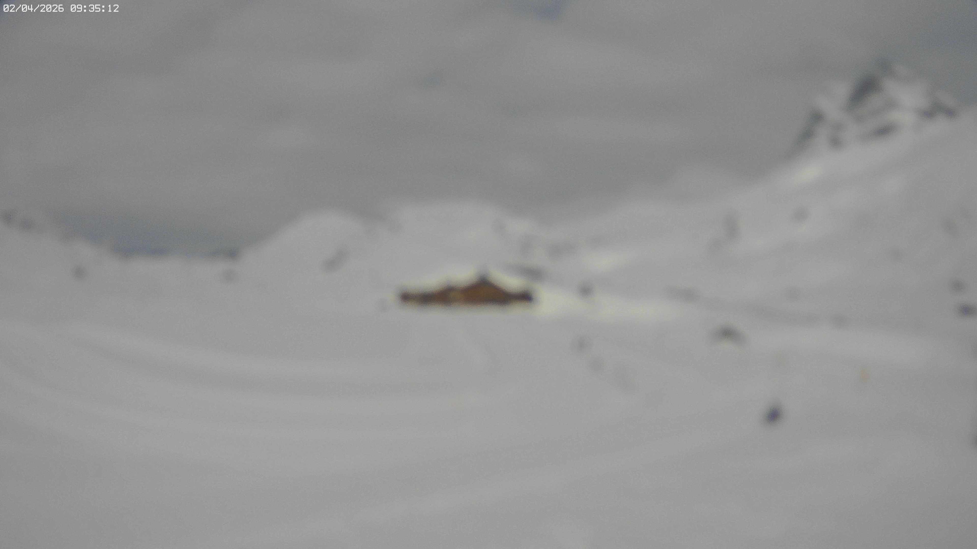 Archiv Foto Webcam Jägeralpe bei Warth