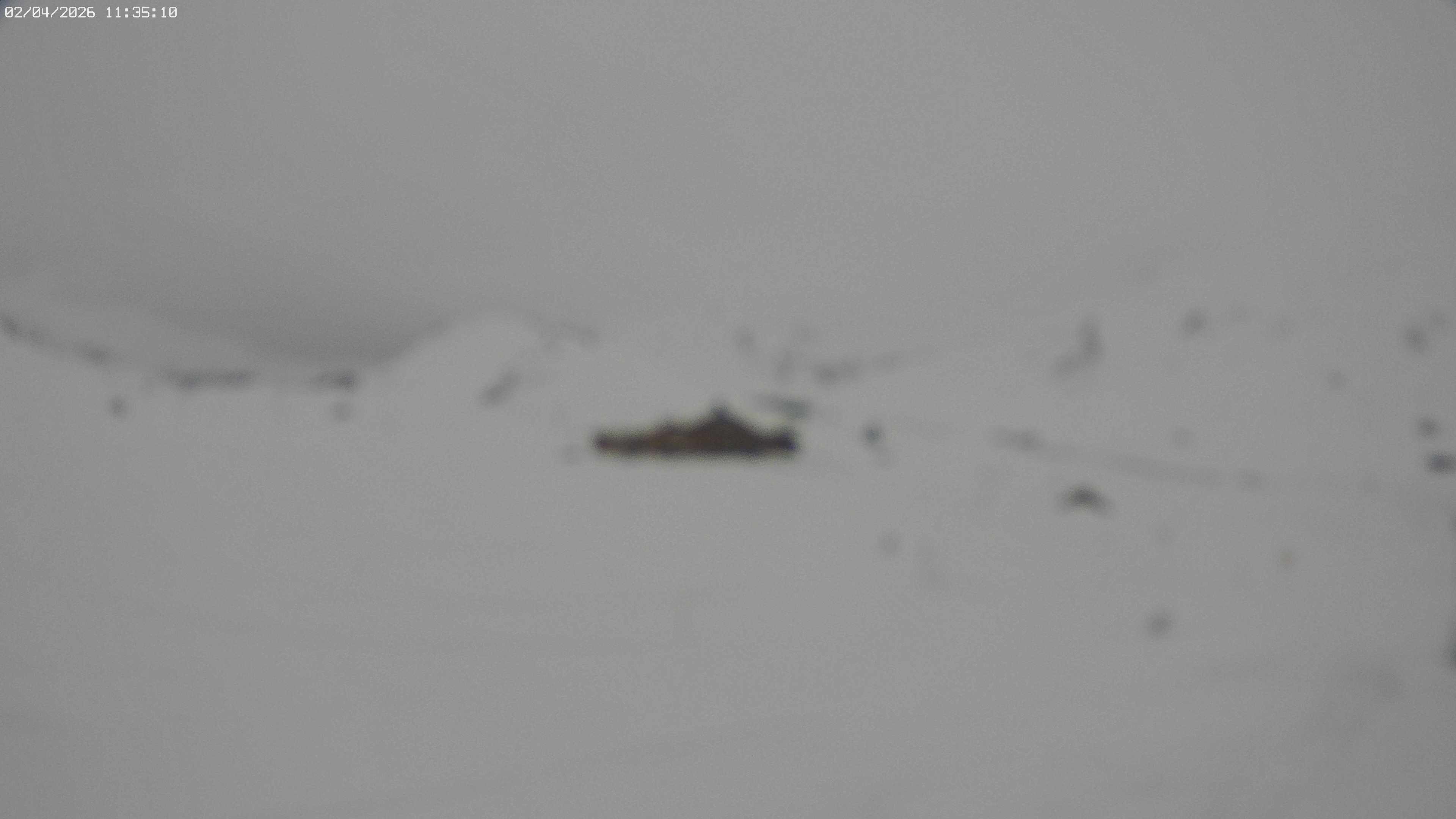 Archiv Foto Webcam Jägeralpe bei Warth