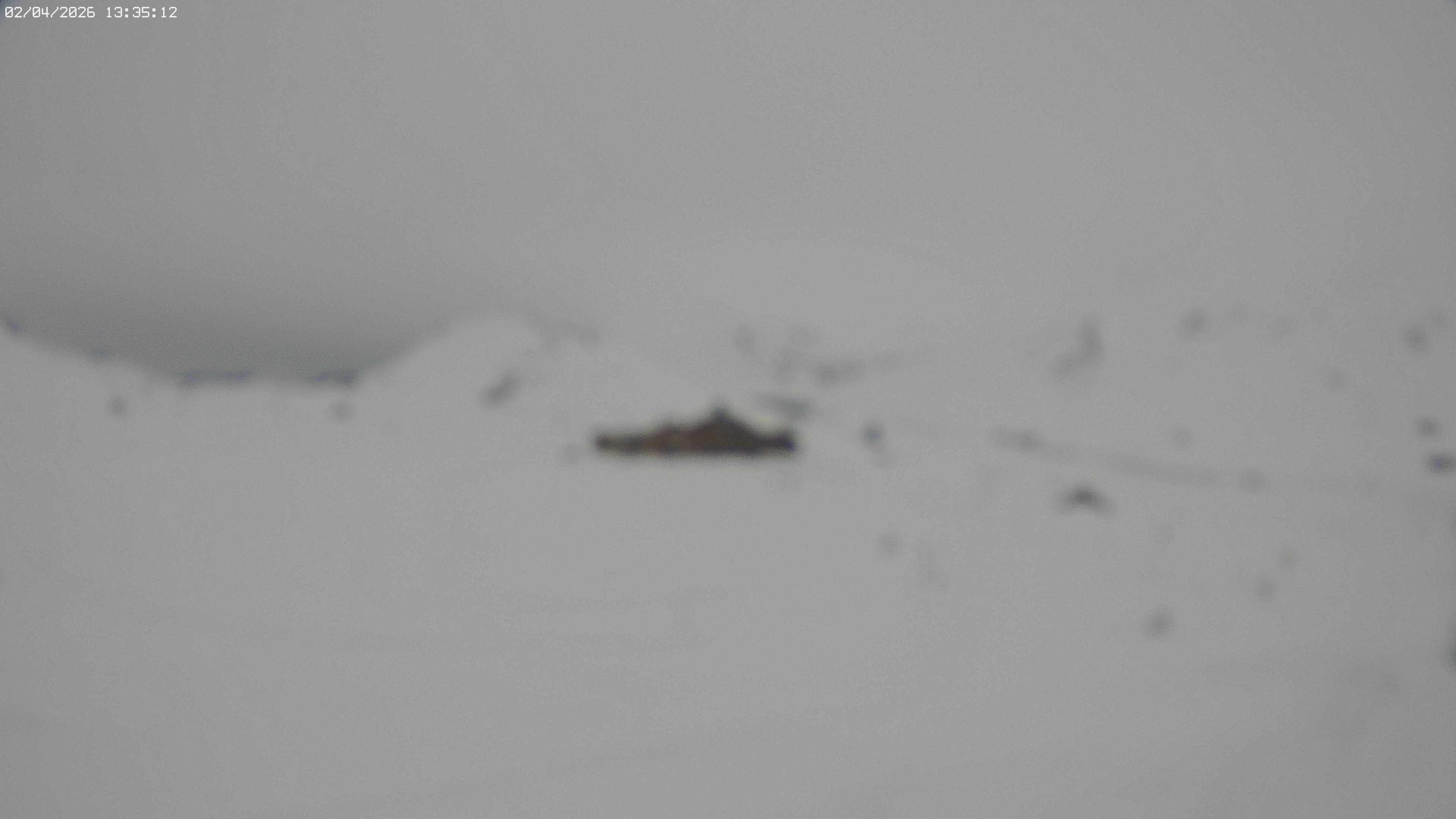 Archiv Foto Webcam Jägeralpe bei Warth