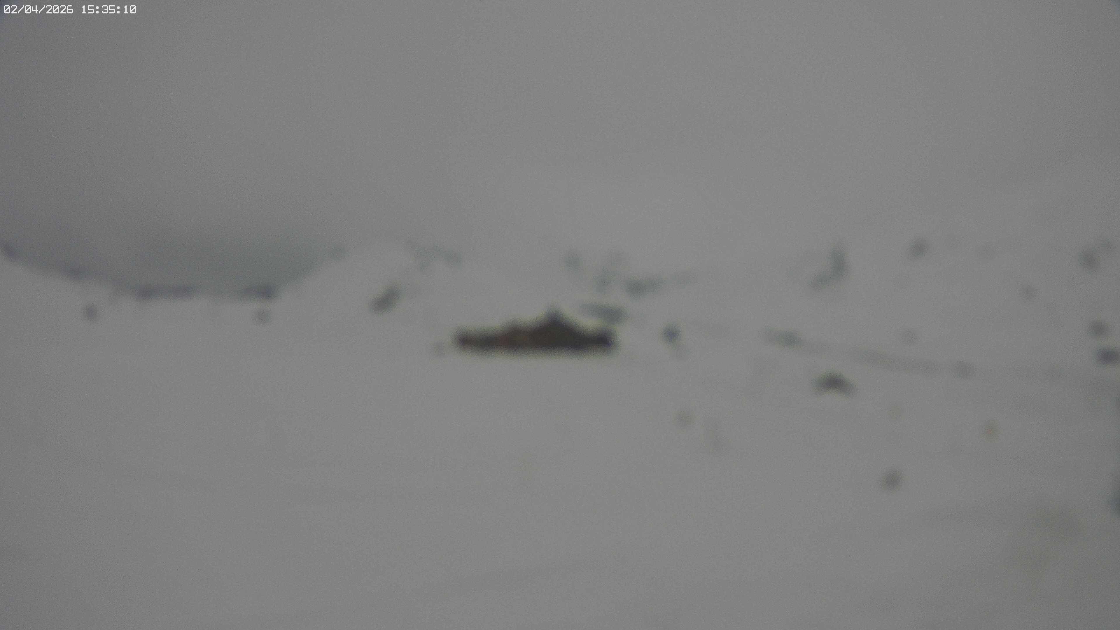 Archiv Foto Webcam Jägeralpe bei Warth