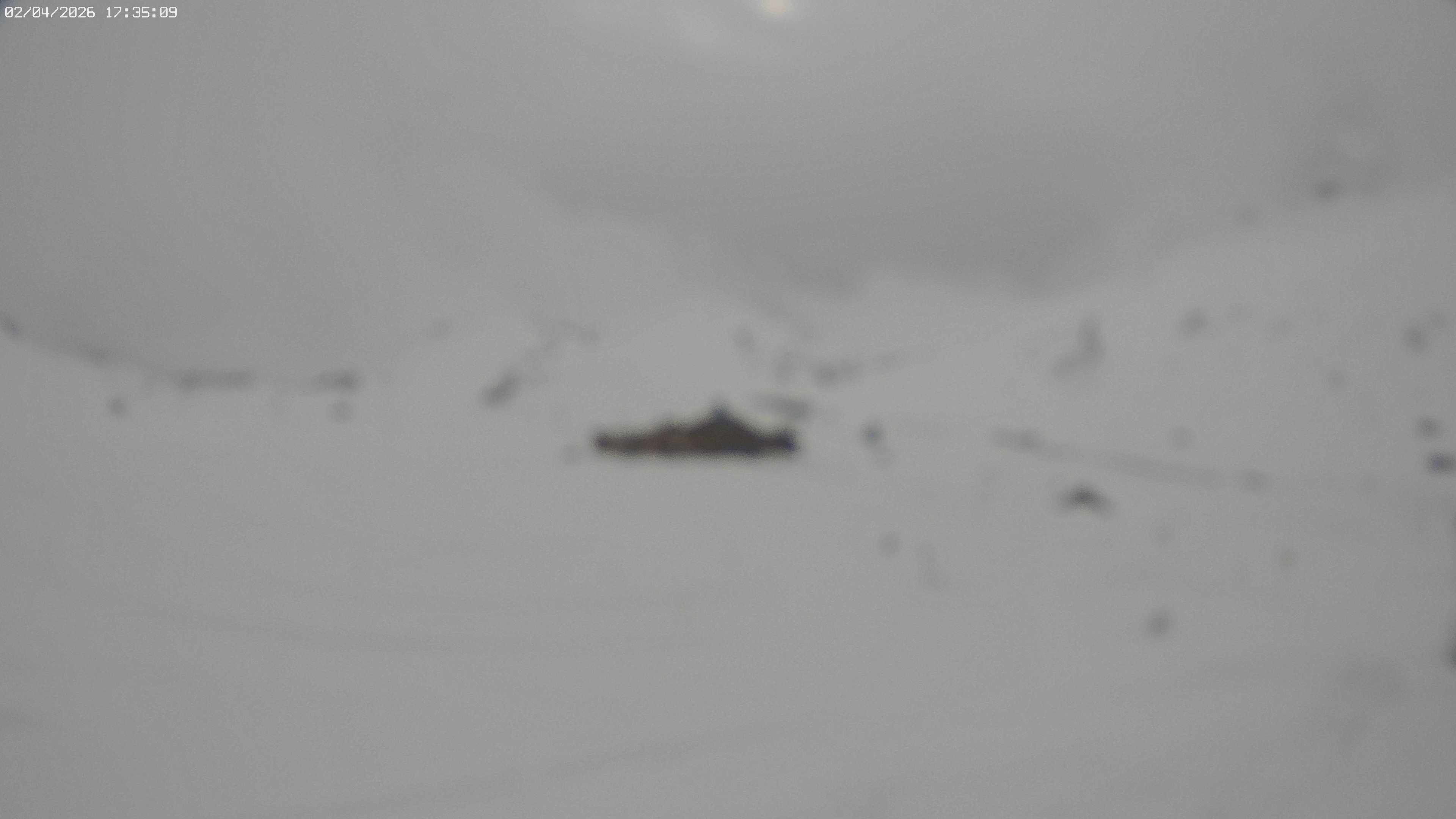 Archiv Foto Webcam Jägeralpe bei Warth