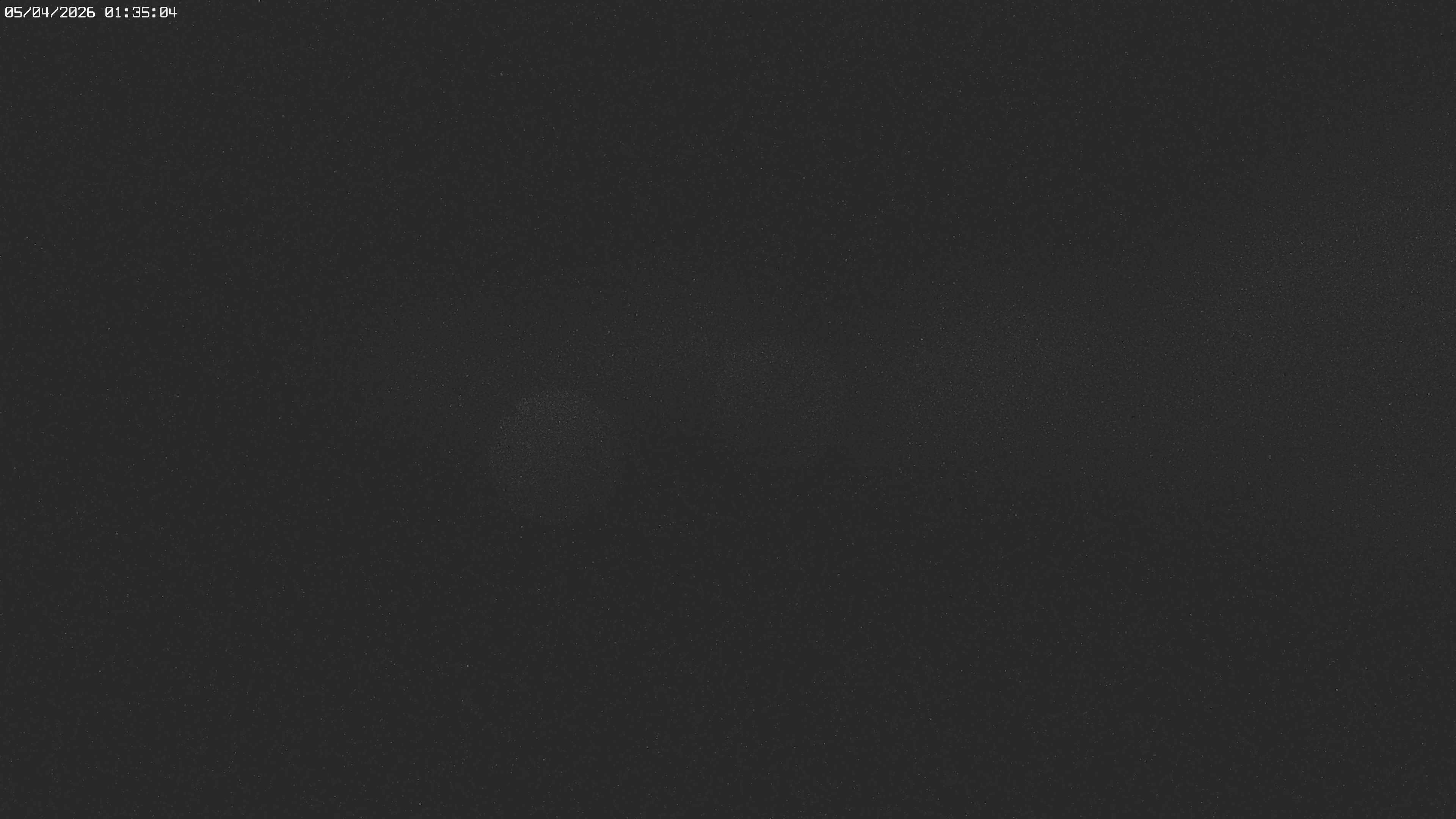 Archiv Foto Webcam Jägeralpe bei Warth