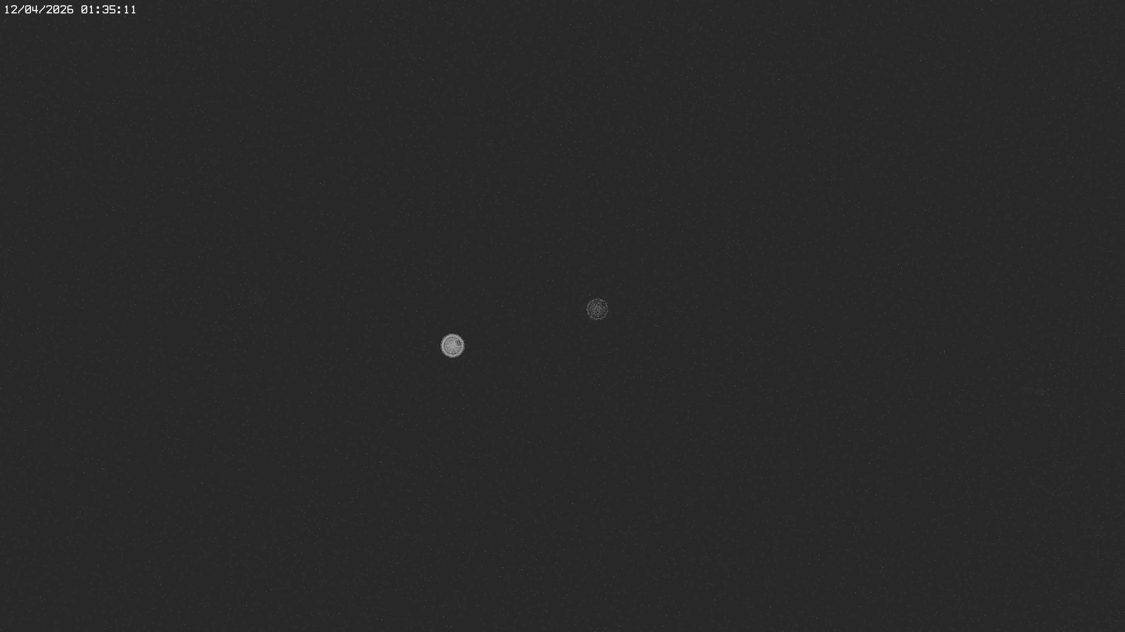 Archived image Webcam Jägeralpe near Warth