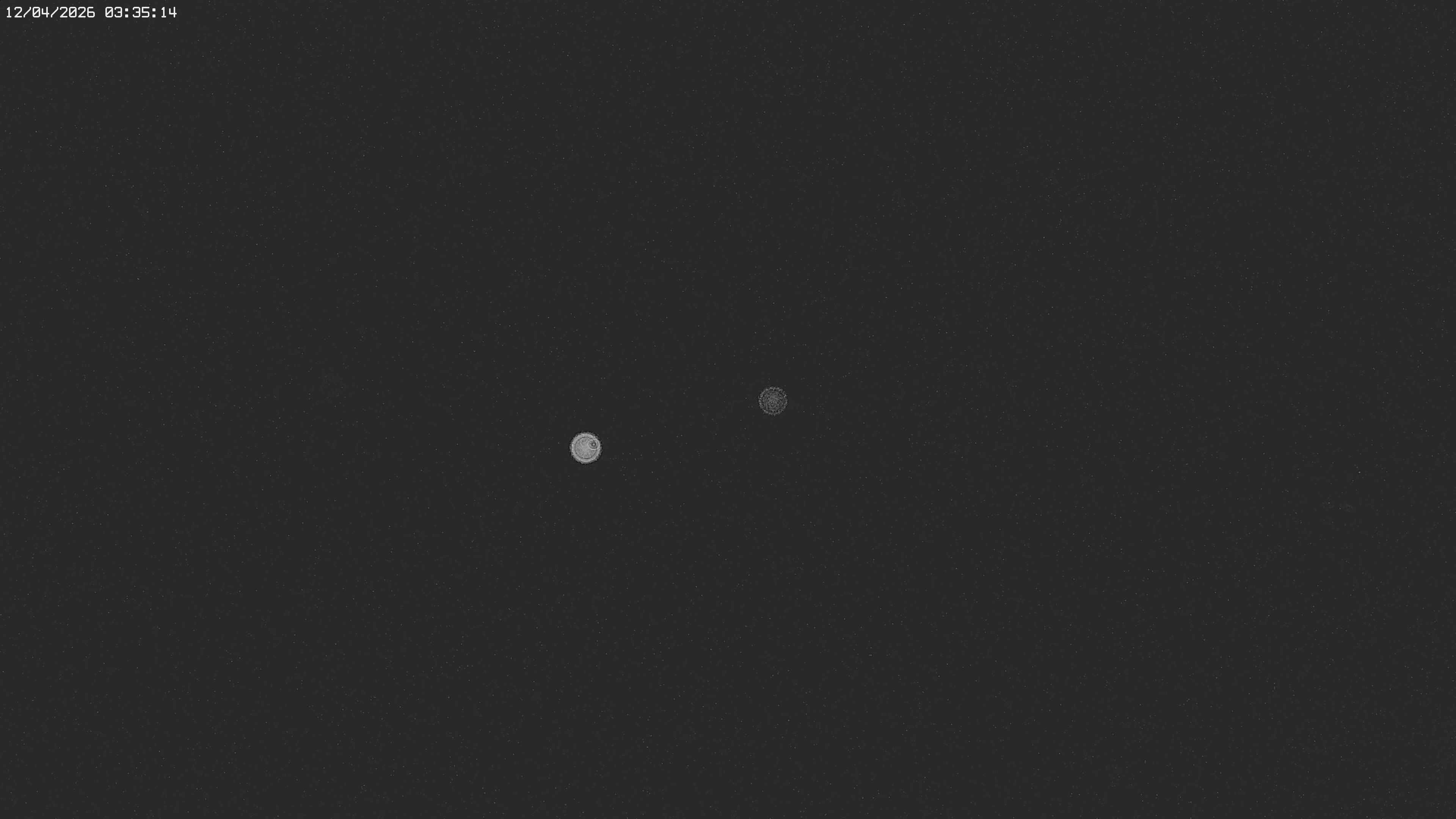 Archived image Webcam Jägeralpe near Warth