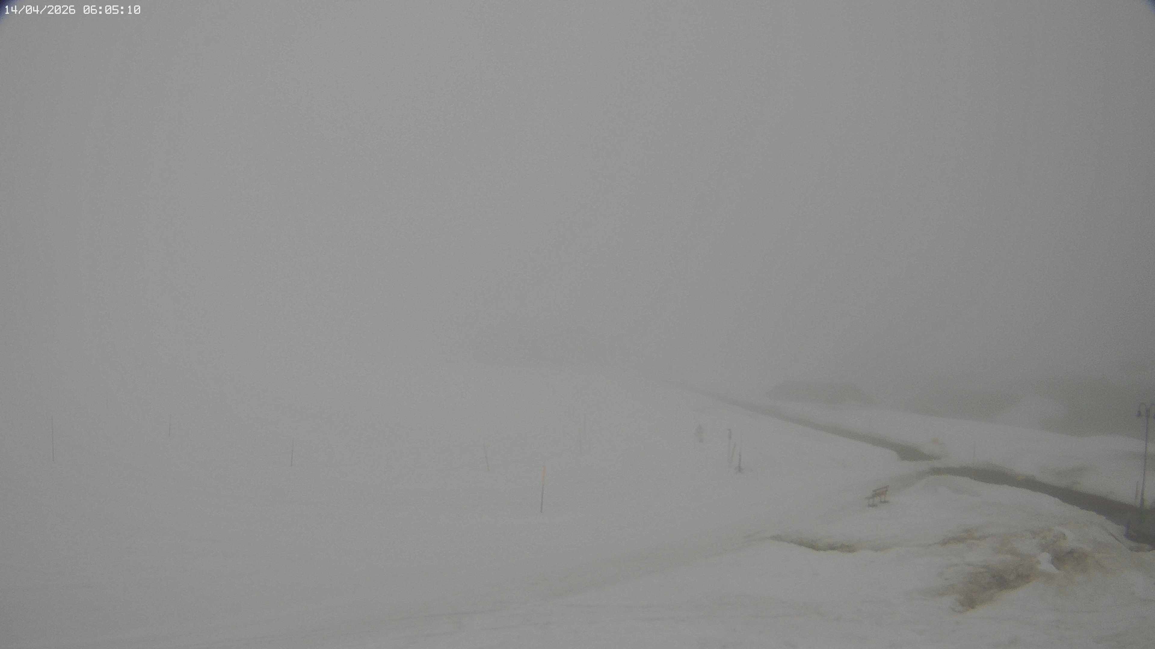 Archiv Foto Webcam Jägeralpe bei Warth