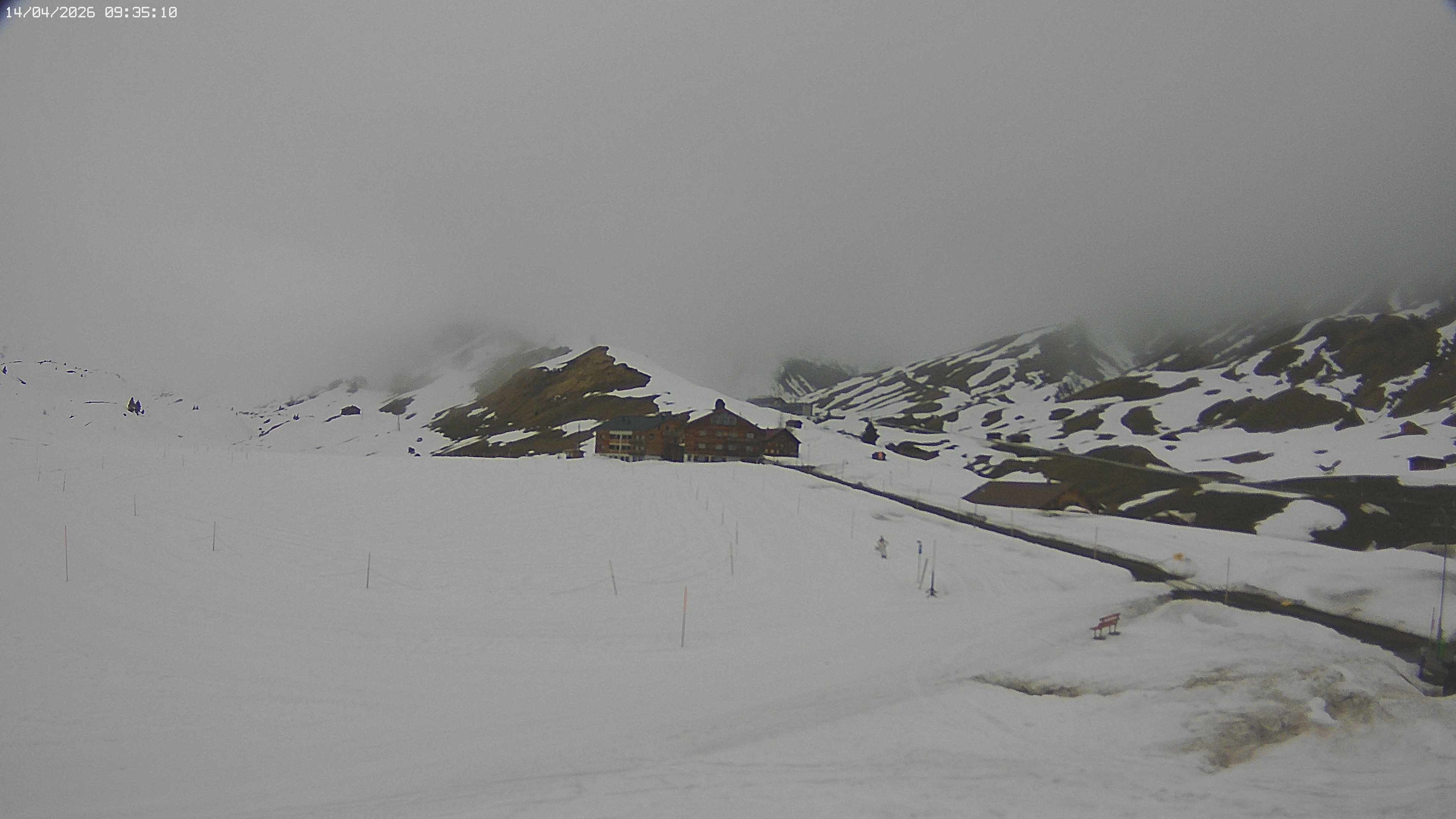 Archiv Foto Webcam Jägeralpe bei Warth