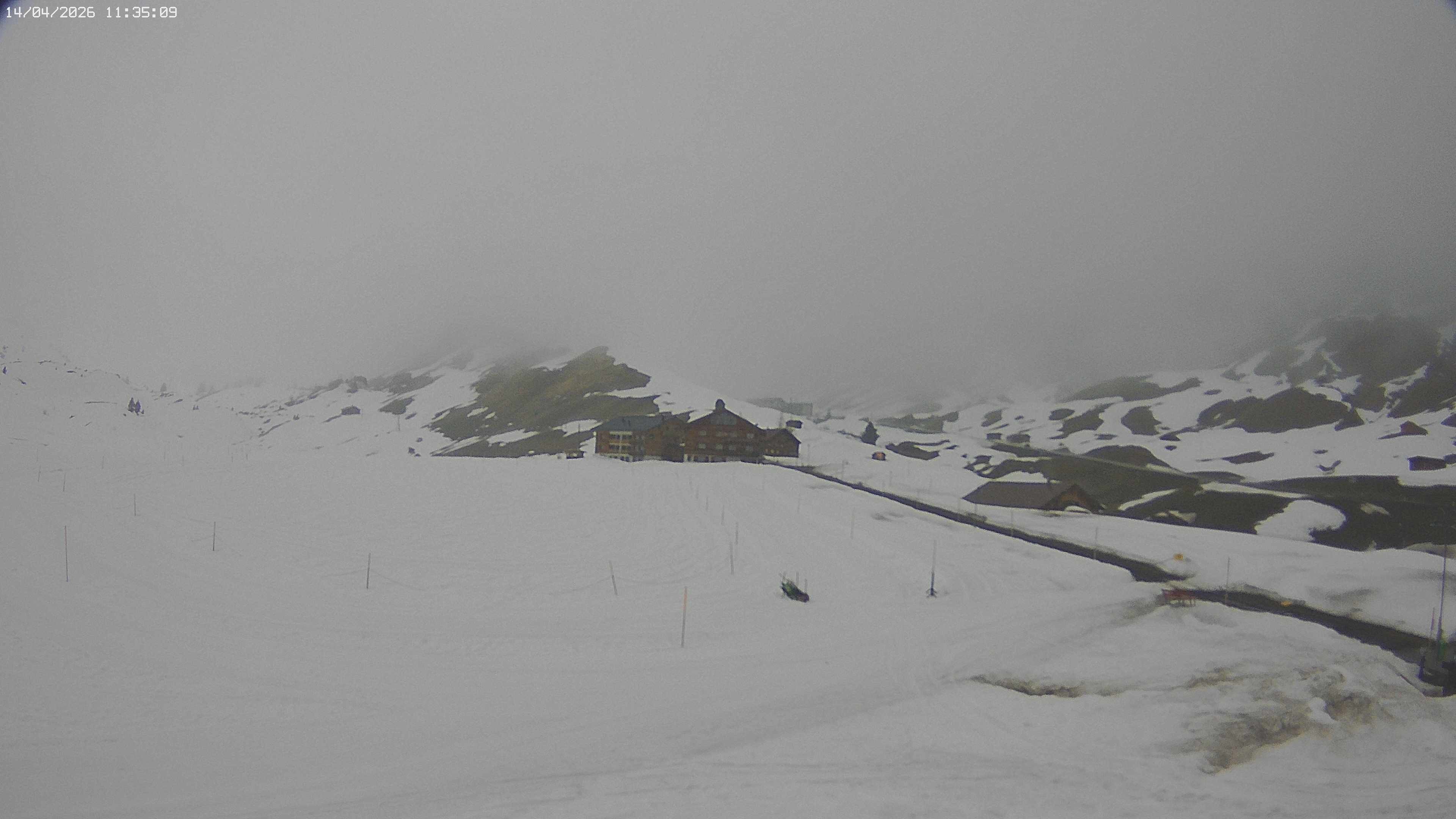 Archiv Foto Webcam Jägeralpe bei Warth