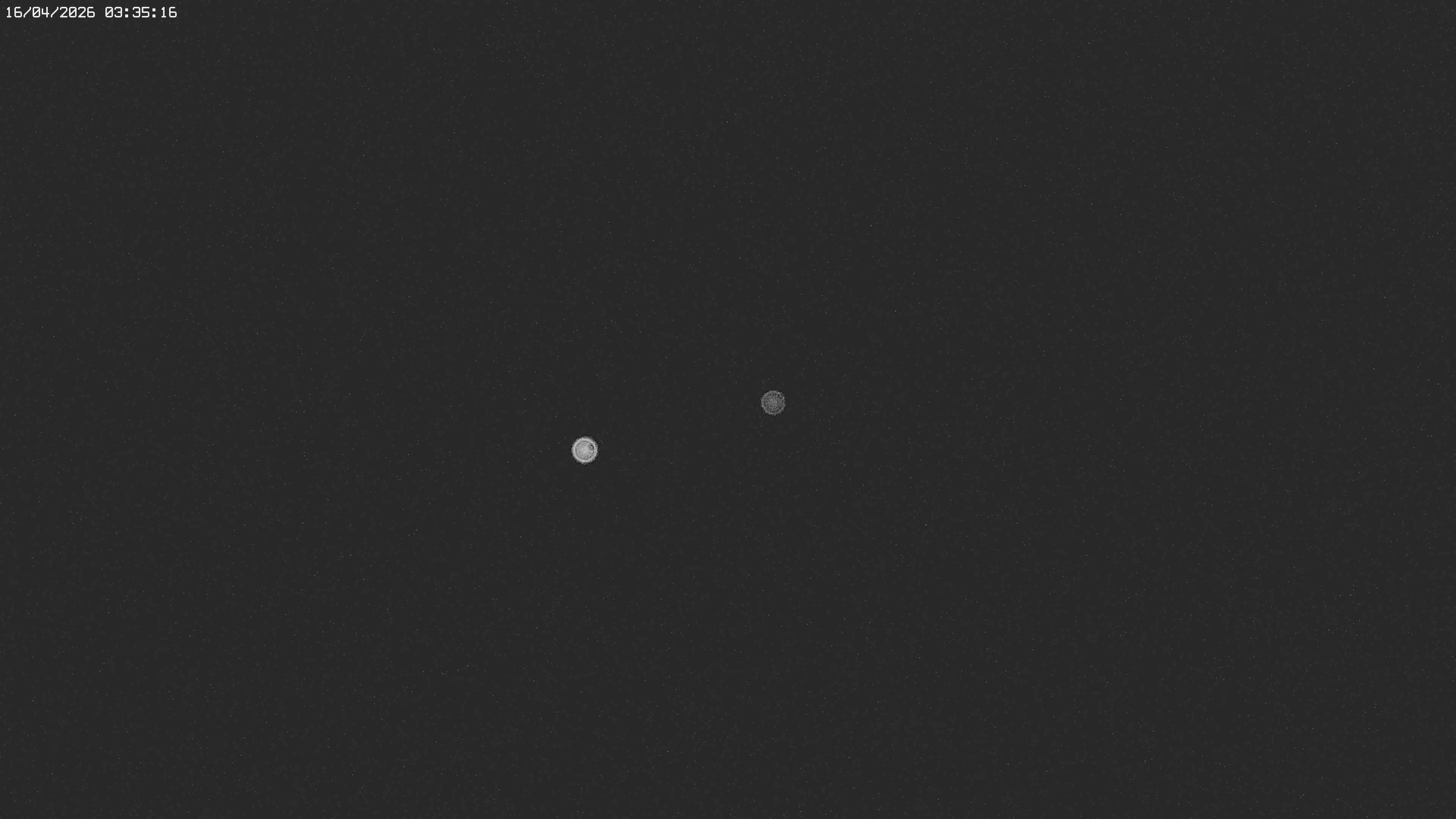 Archived image Webcam Jägeralpe near Warth