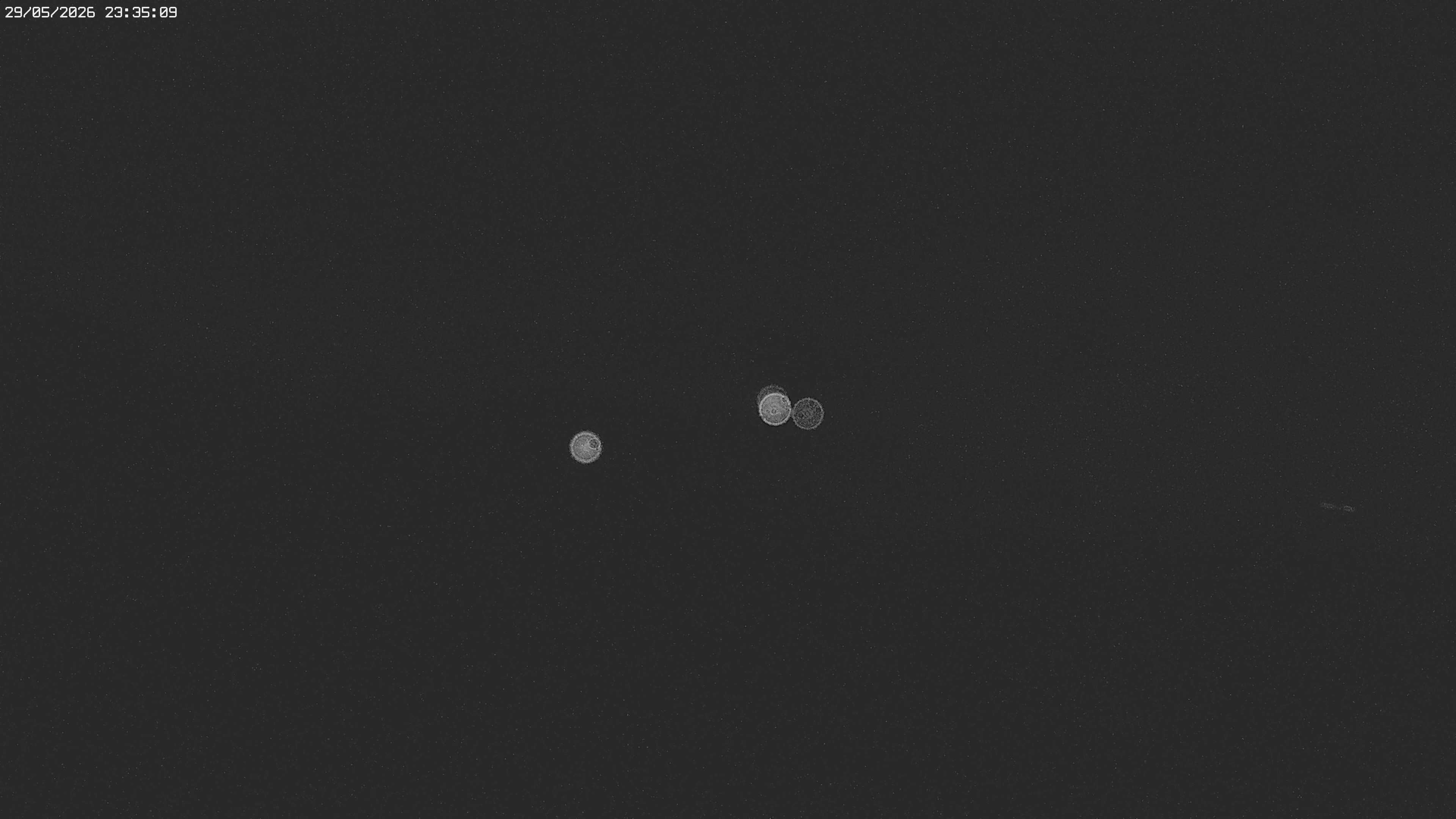 Archived image Webcam Jägeralpe near Warth