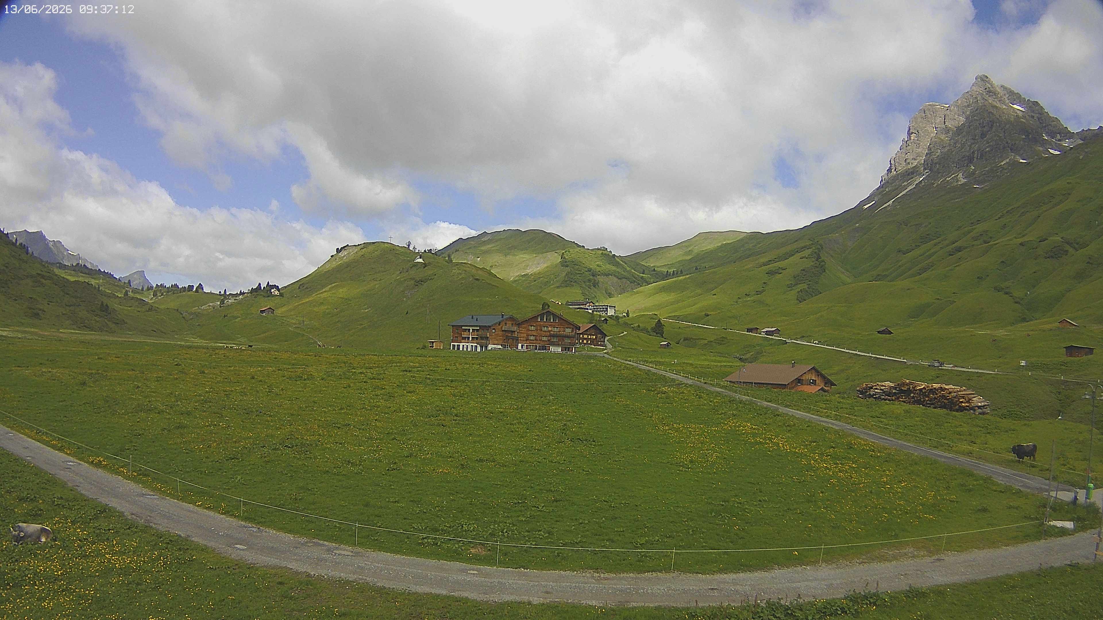 Archiv Foto Webcam Jägeralpe bei Warth