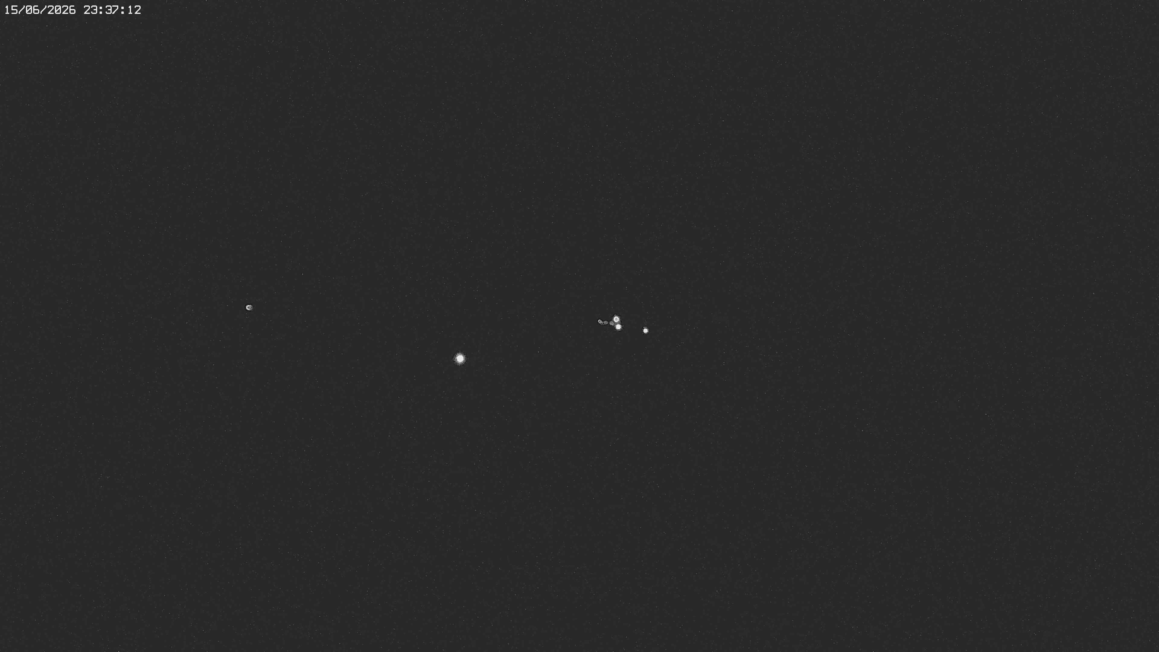 Archived image Webcam Jägeralpe near Warth