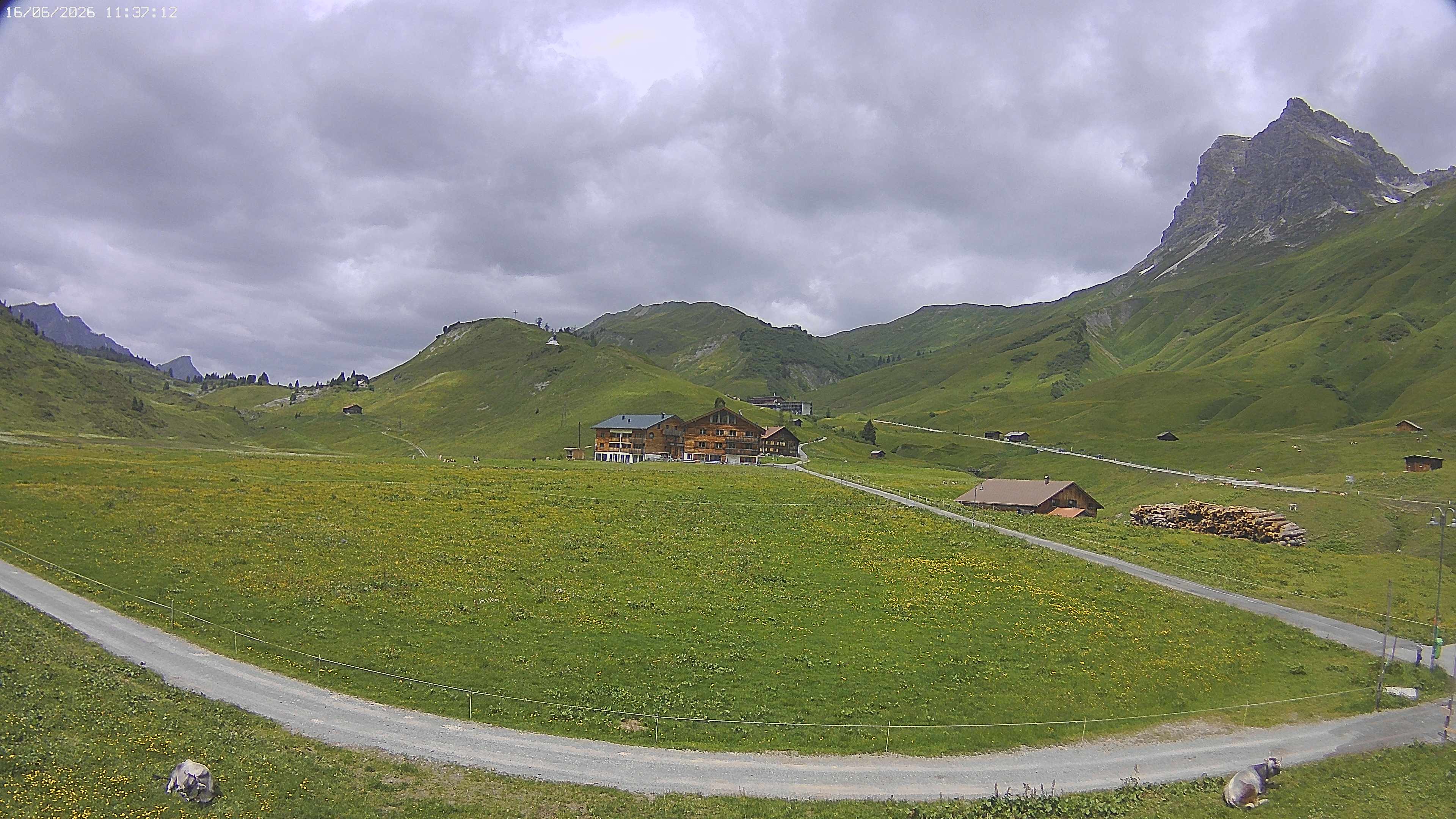 Archiv Foto Webcam Jägeralpe bei Warth