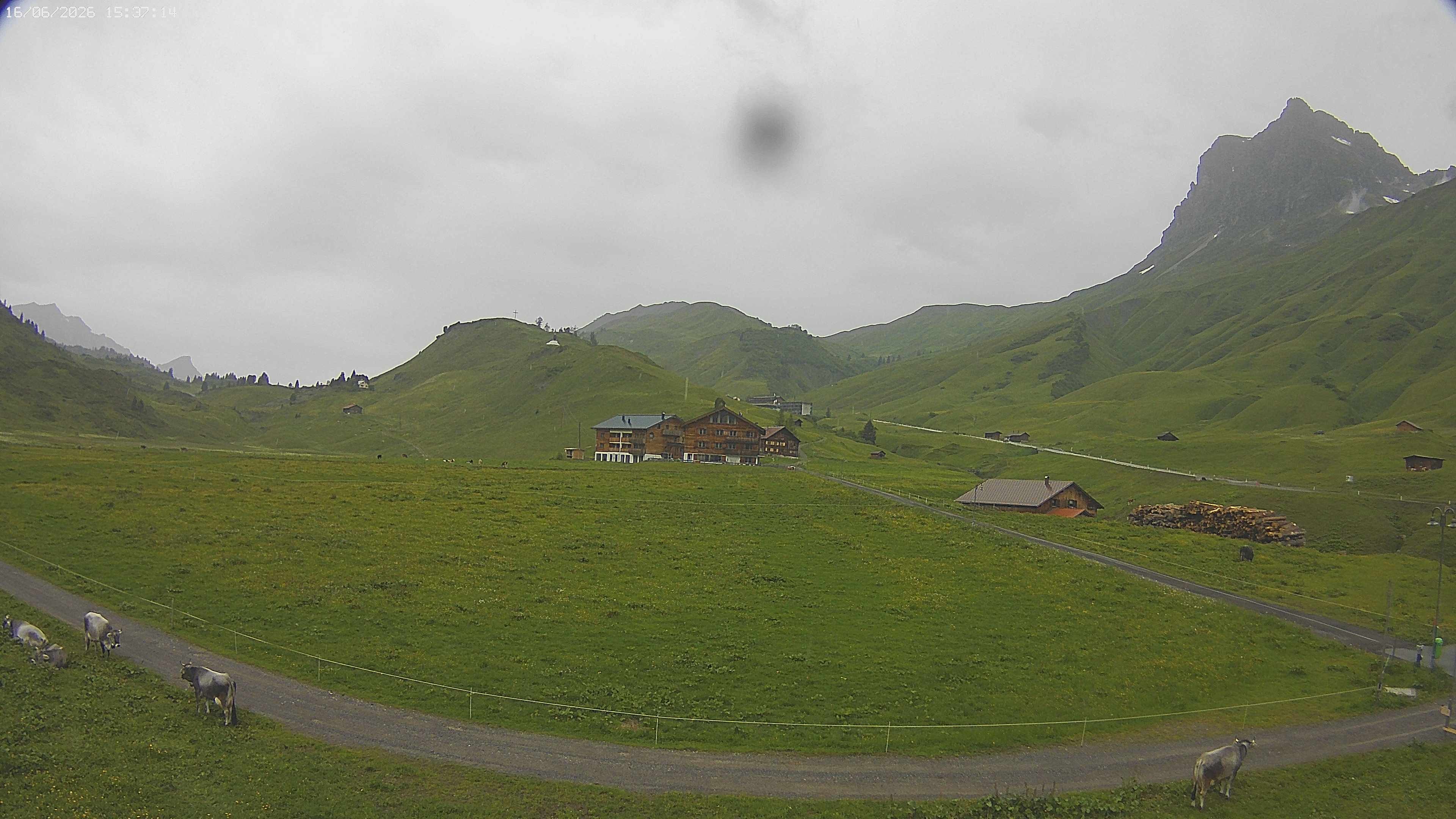 Archiv Foto Webcam Jägeralpe bei Warth