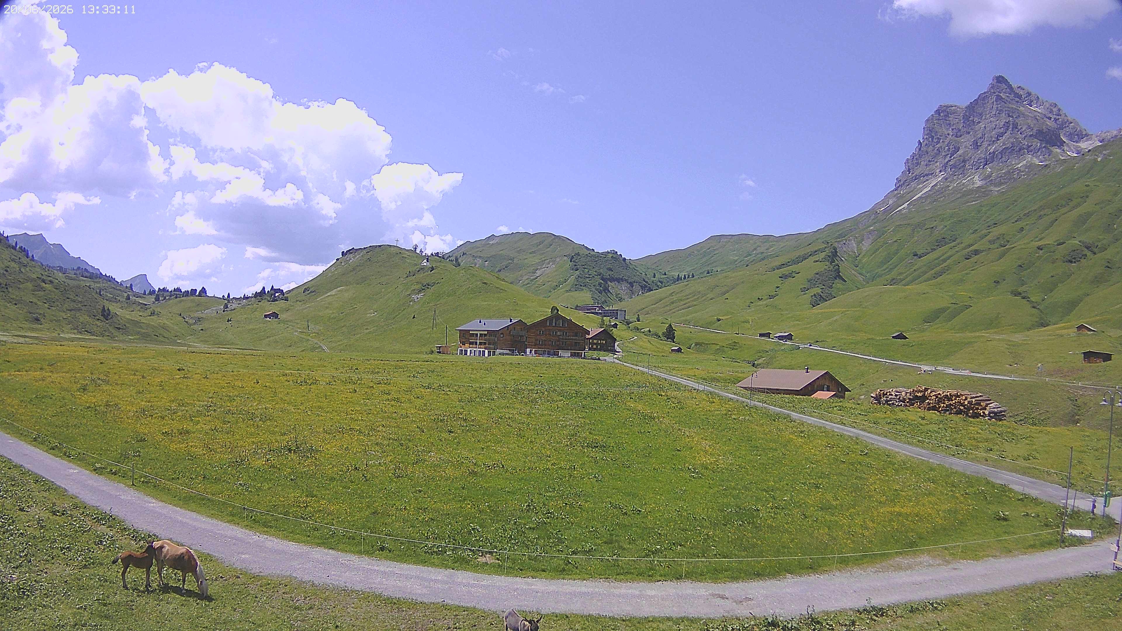 Archiv Foto Webcam Jägeralpe bei Warth