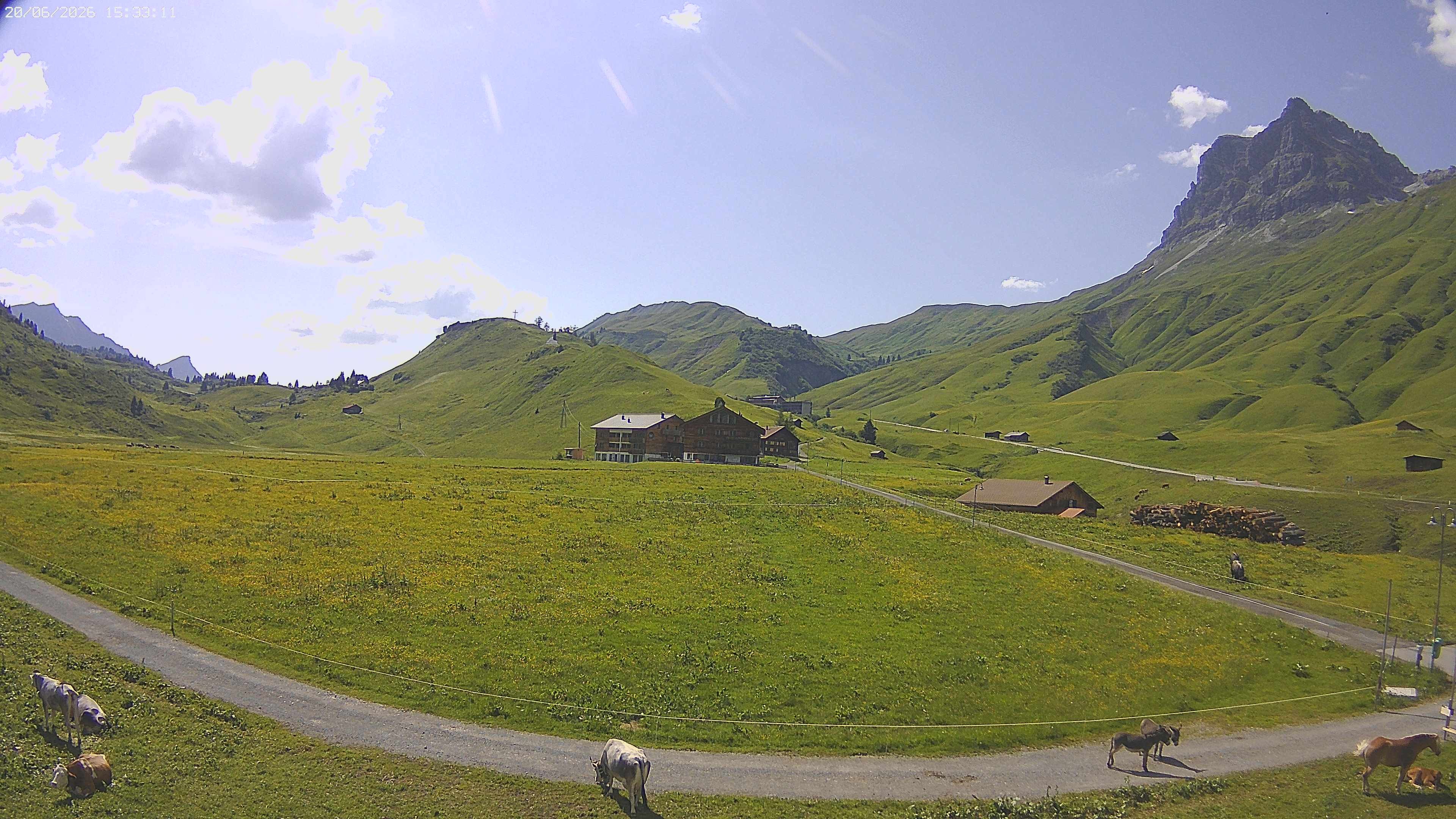 Archiv Foto Webcam Jägeralpe bei Warth
