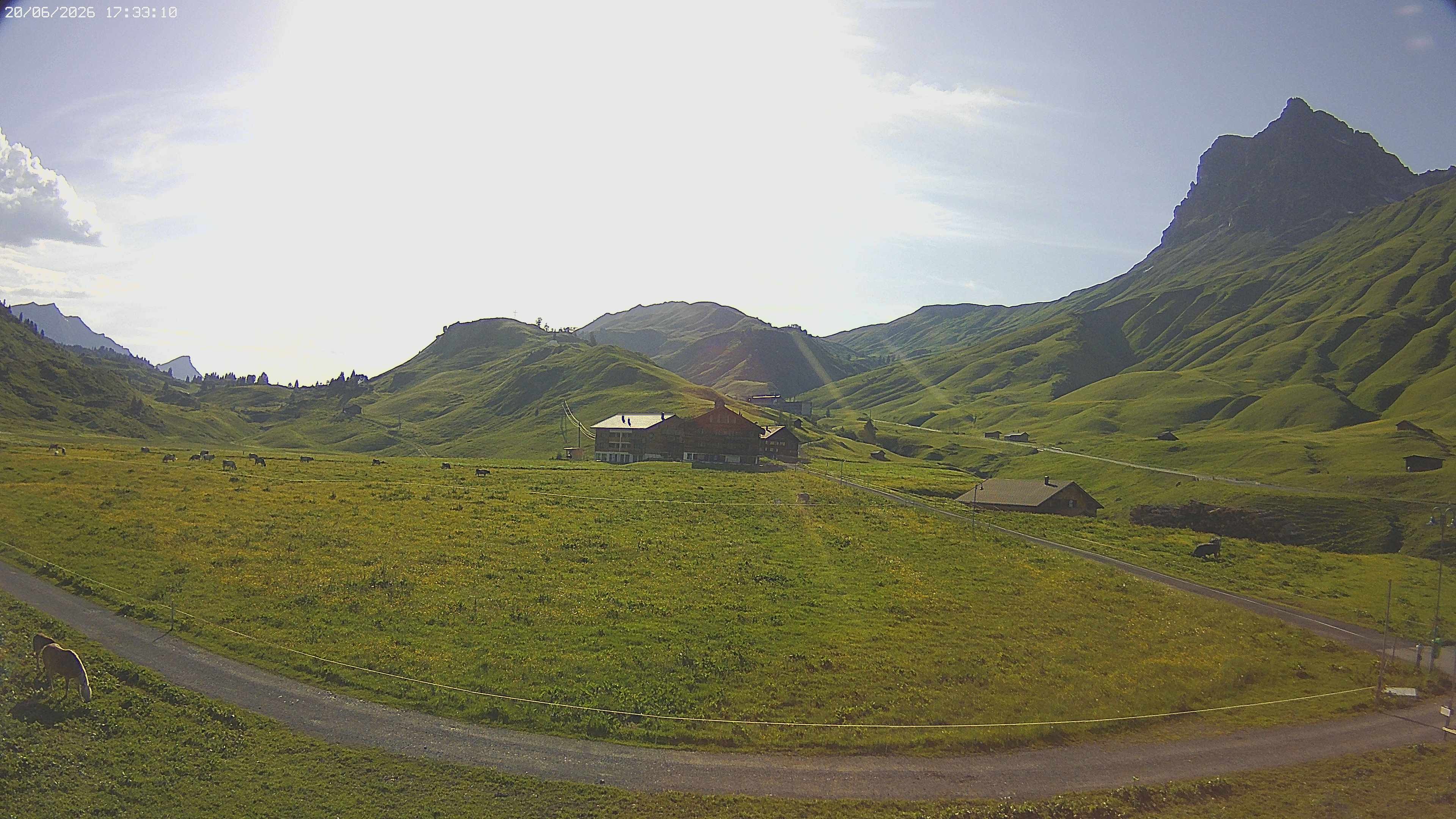 Archiv Foto Webcam Jägeralpe bei Warth